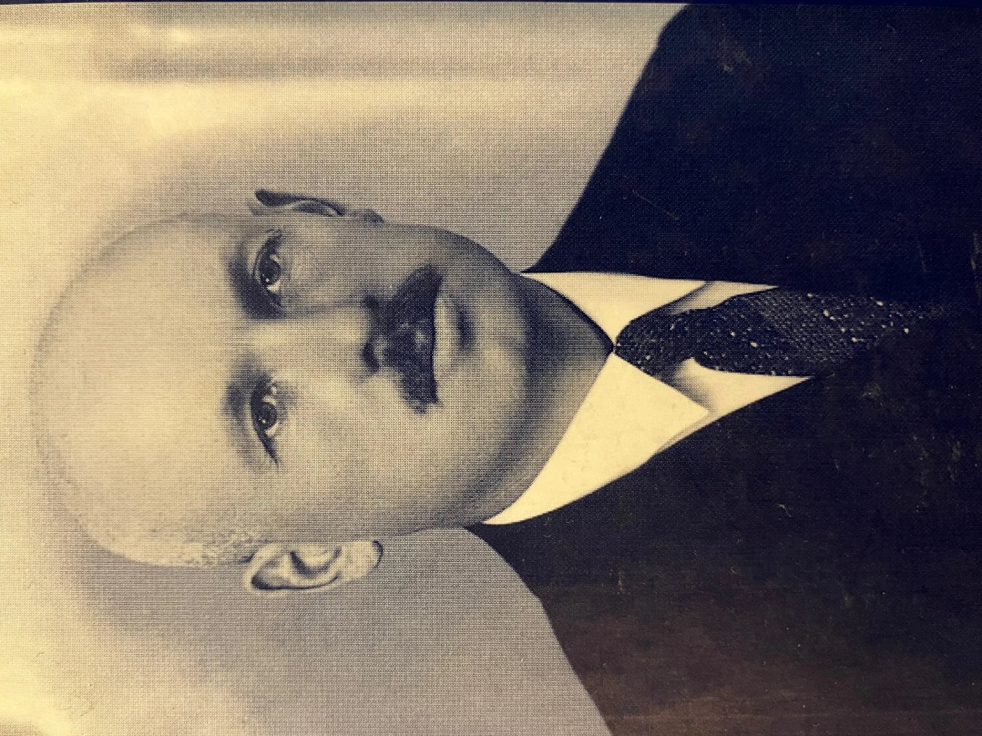 Portrait of Ferdinand Petersen (1887–1979) – memorial page