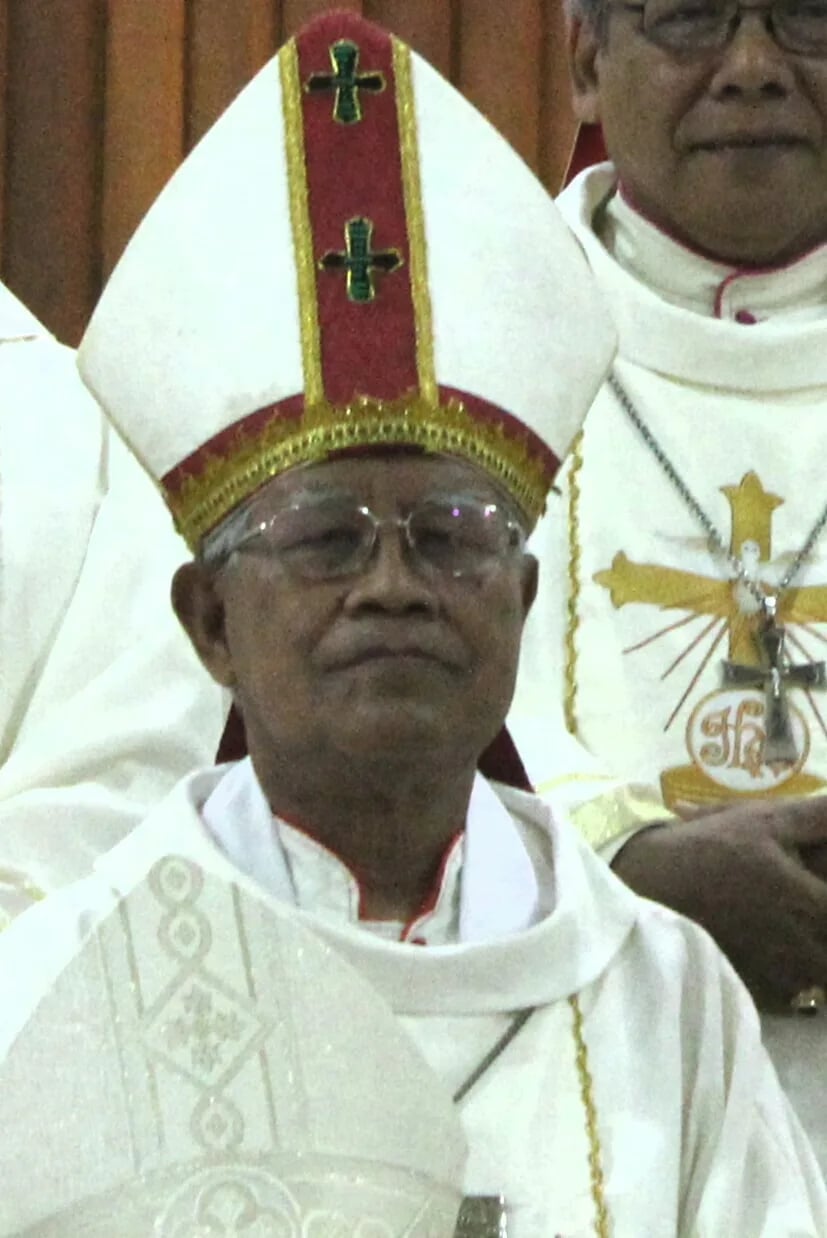 Portrait of Anicetus Bongsu Antonius Sinaga (1941–2020) – memorial page