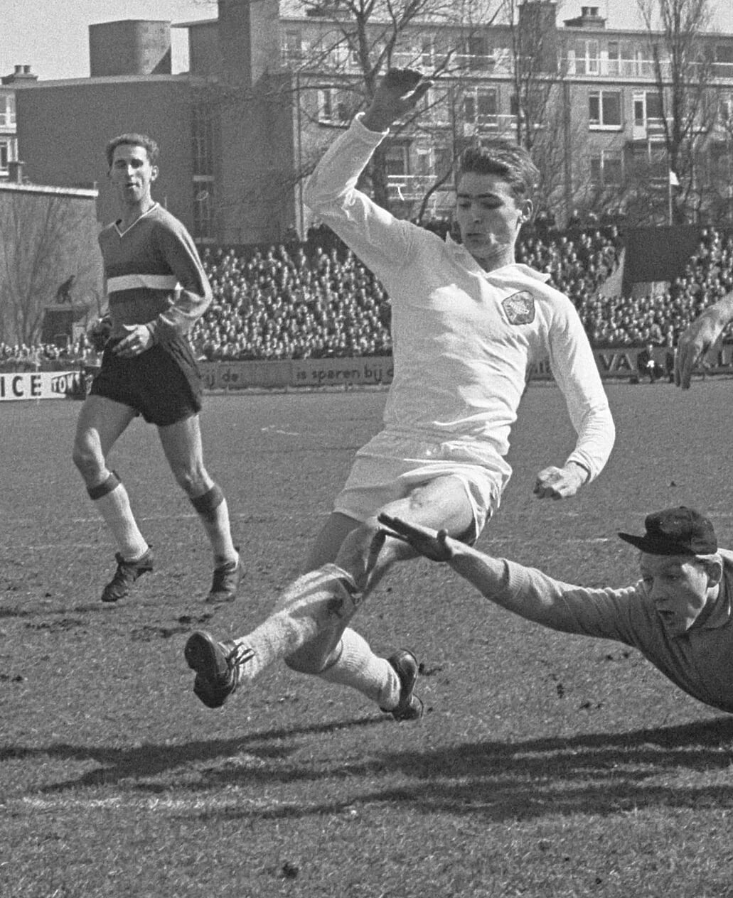 Porträt von Ted Immers (1941–2024) – Gedenkseite