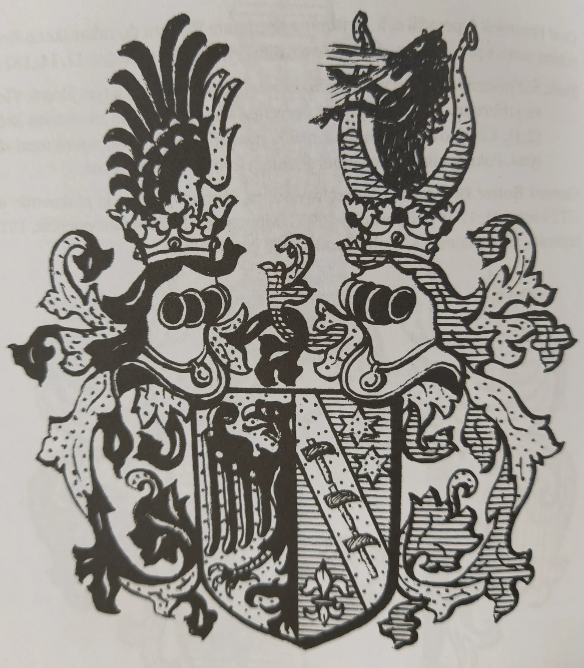 Porträt von Franz Rziha (1865–1952) – Gedenkseite