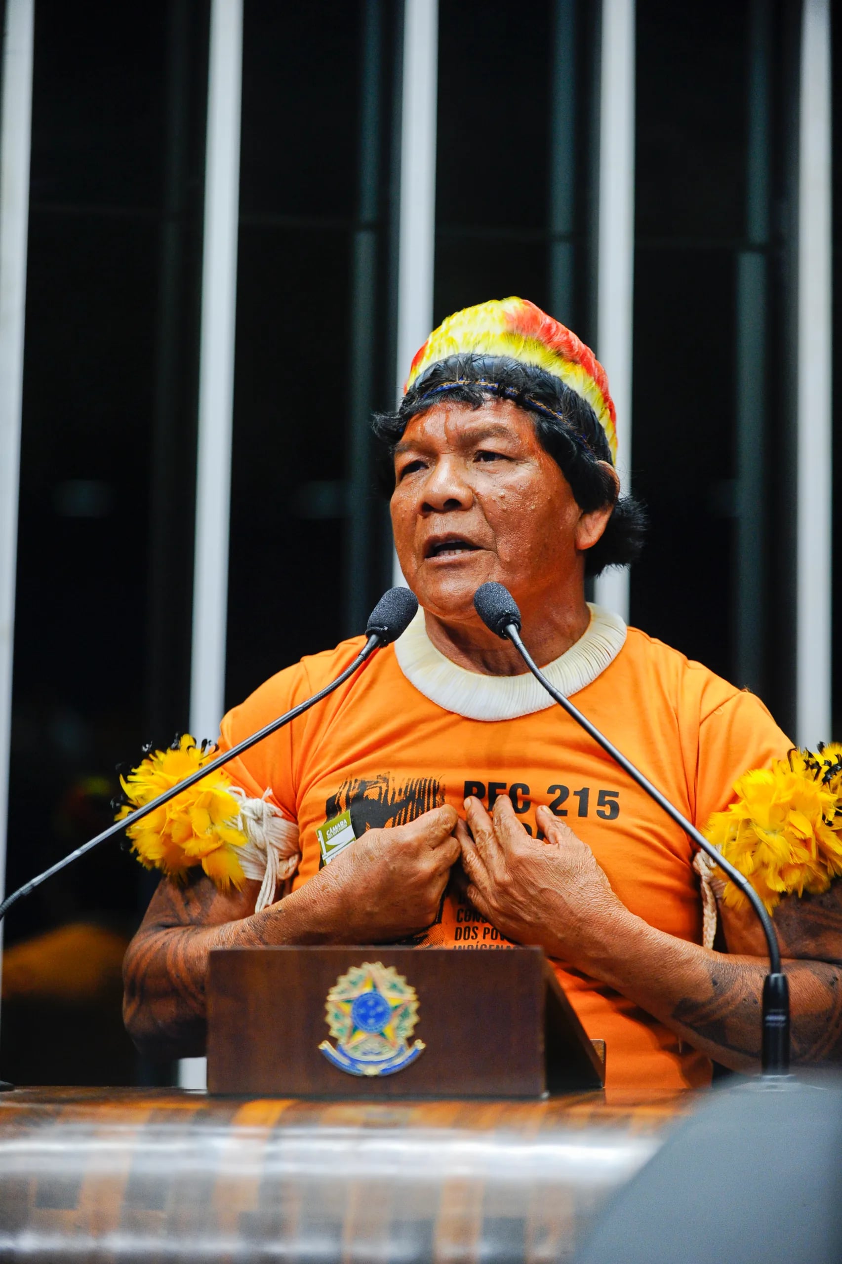 Porträt von Pirakumã Yawalapiti (1955–2015) – Gedenkseite