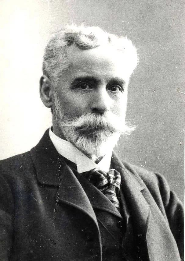 Portrait of Dimitrie Comșa (1846–1931) – memorial page