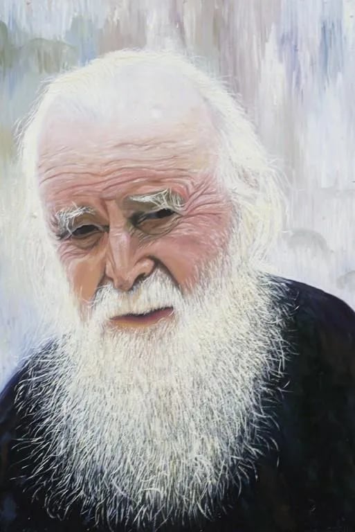 Portrait of Sofian Boghiu (1912–2002) – memorial page
