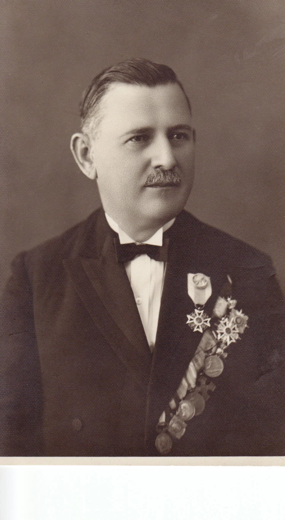 Portrait of Stoica Nicolaescu (1878–1941) – memorial page