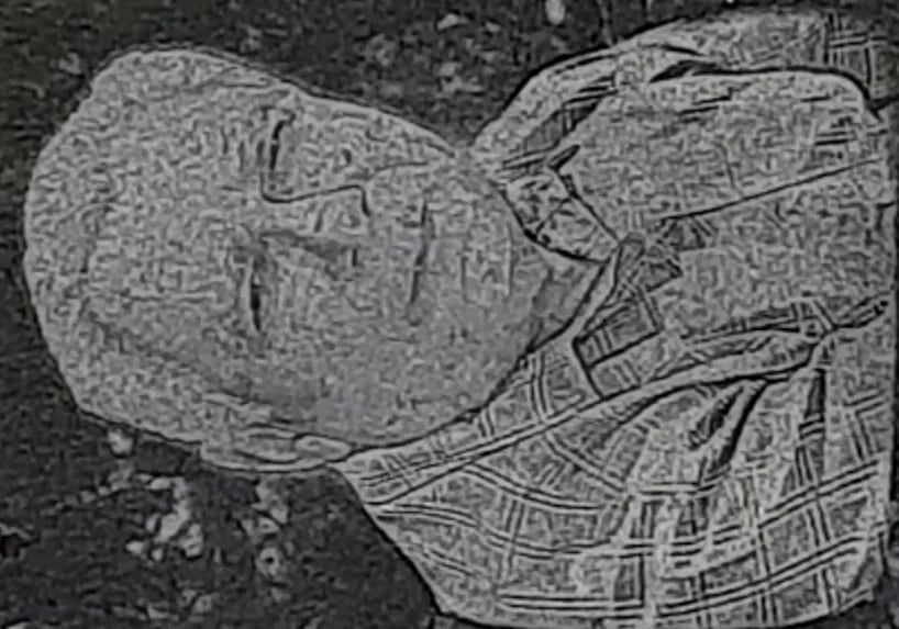 Porträt von Vasile Procopișin (1934–2008) – Gedenkseite