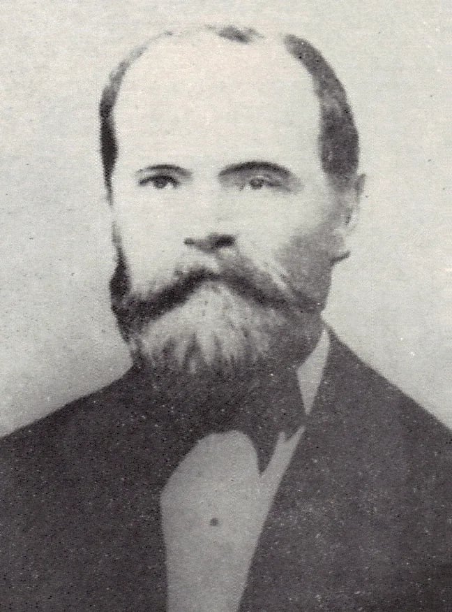 Portrait of Ștefan Micle (1817–1879) – memorial page
