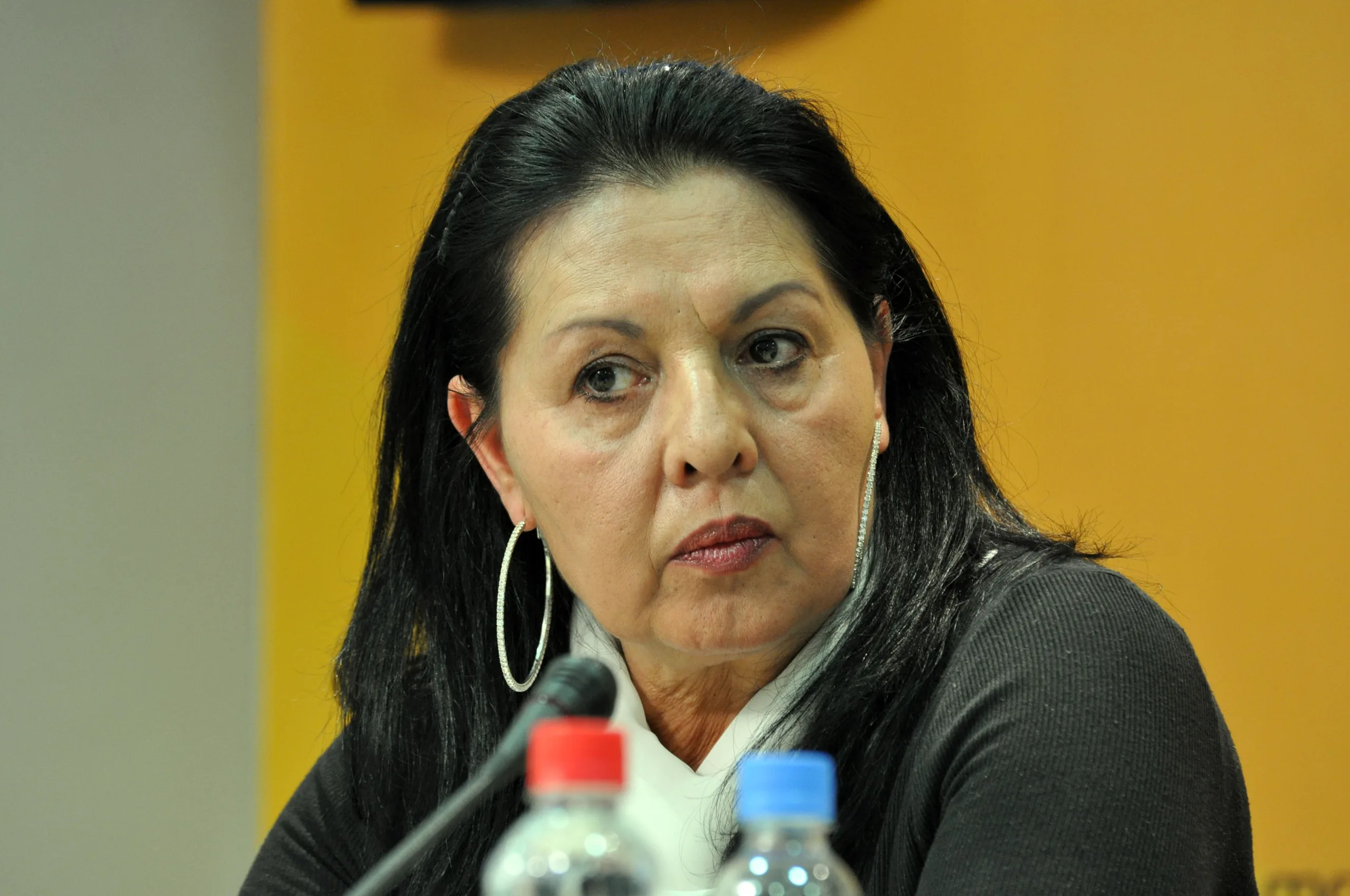 Porträt von Usnija Redžepova (1946–2015) – Gedenkseite