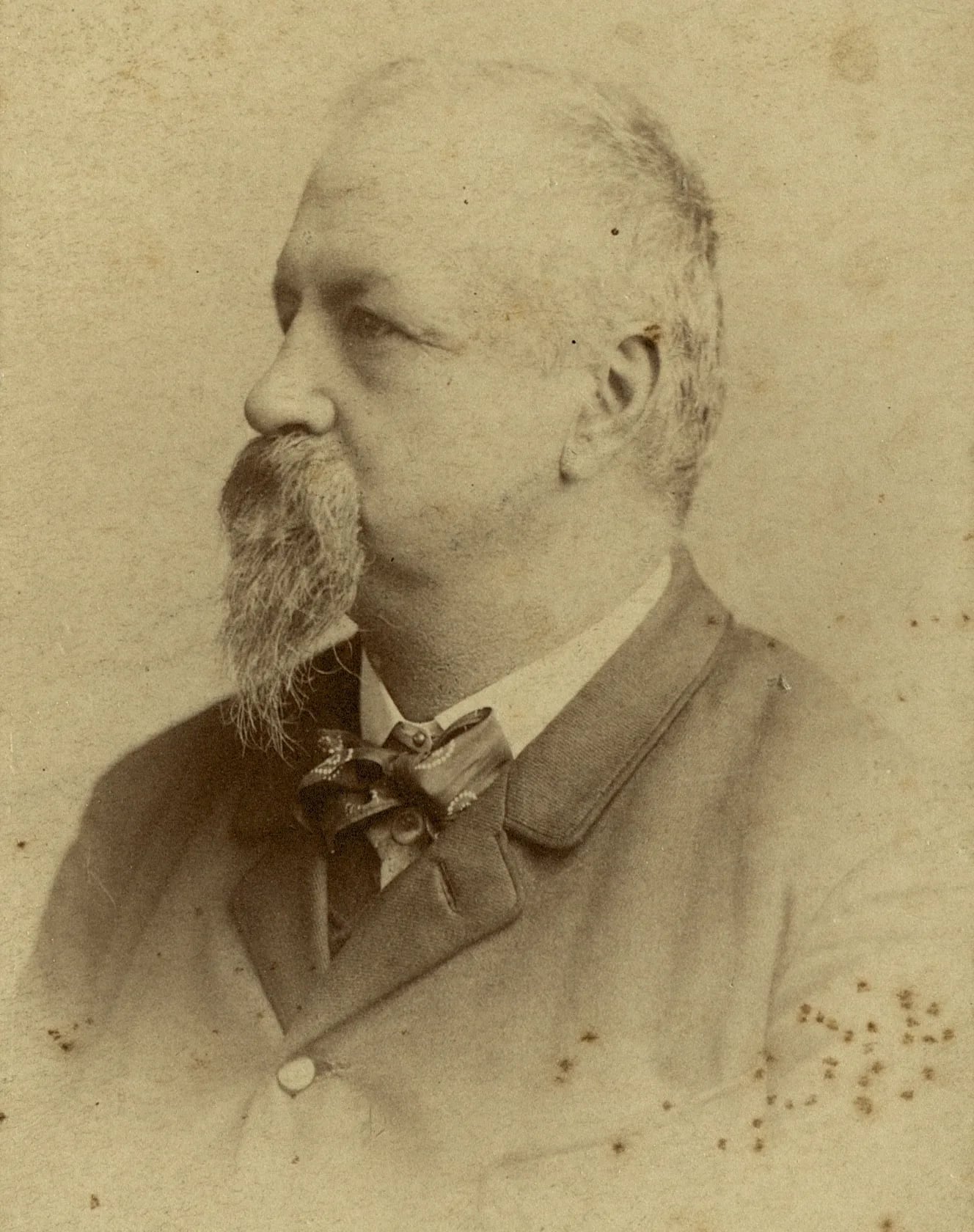 Porträt von Hinko Dolenec (1838–1908) – Gedenkseite