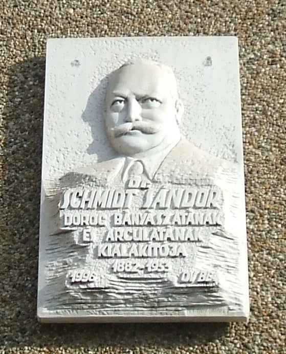 Portrait of Sándor Schmidt (1882–1953) – memorial page