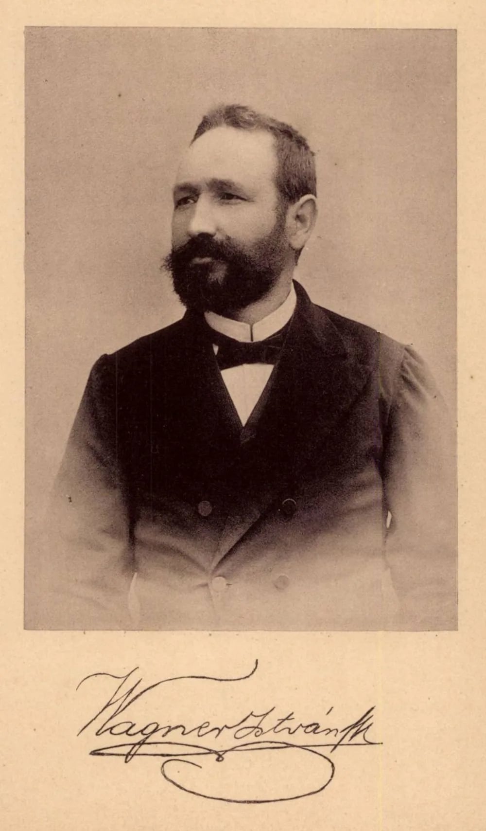 Portrait of István Antal Völgyi (1851–1928) – memorial page