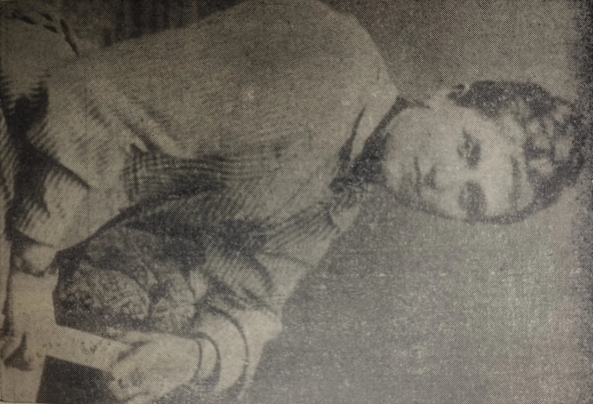 Porträt von Maria Langova-Dyugmedzhieva (1867–1961) – Gedenkseite