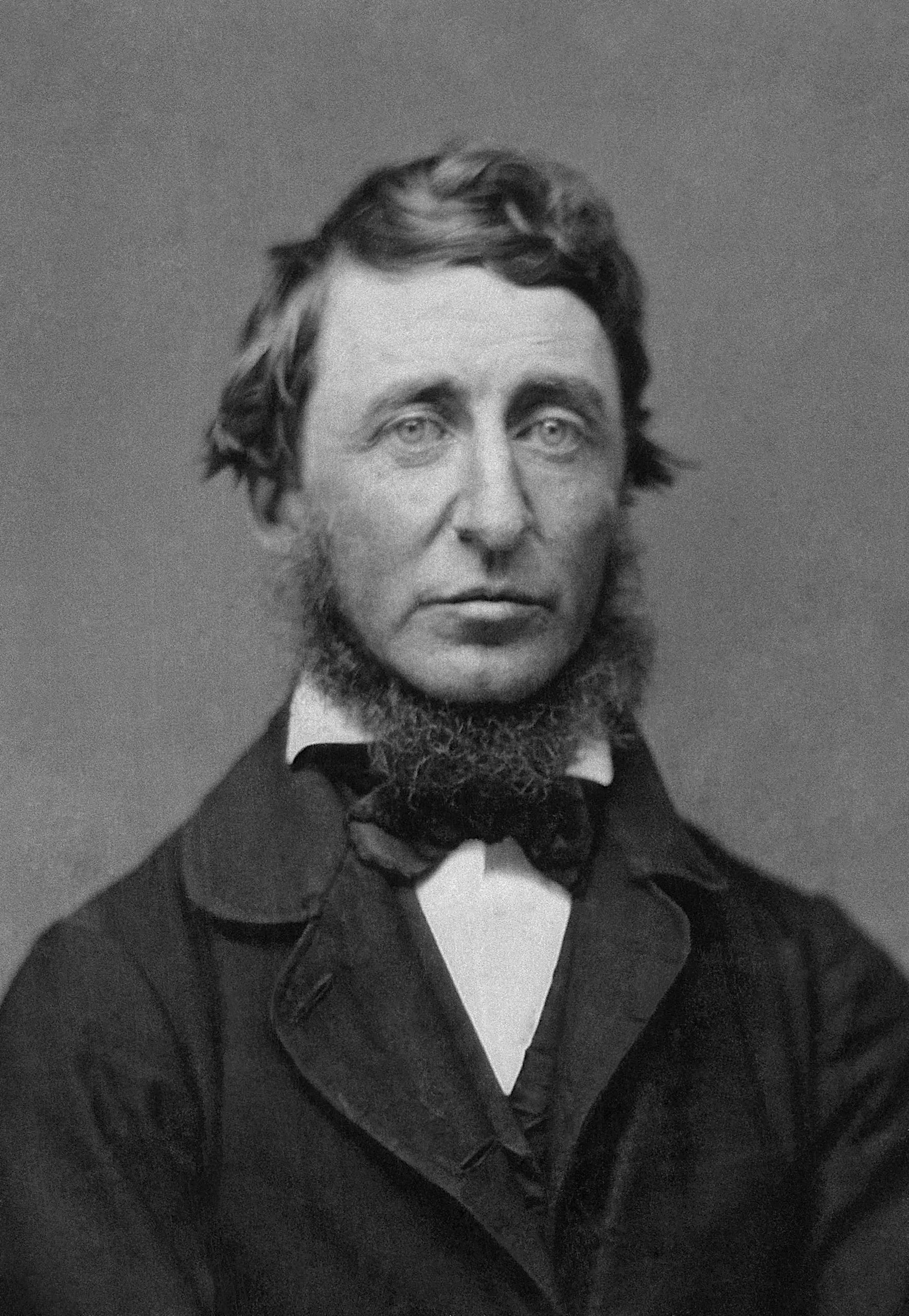 Portrait of Henry David Thoreau (1817–1862) – memorial page