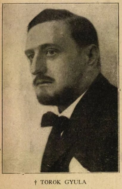 Portrait of Gyula Török (1888–1918) – memorial page