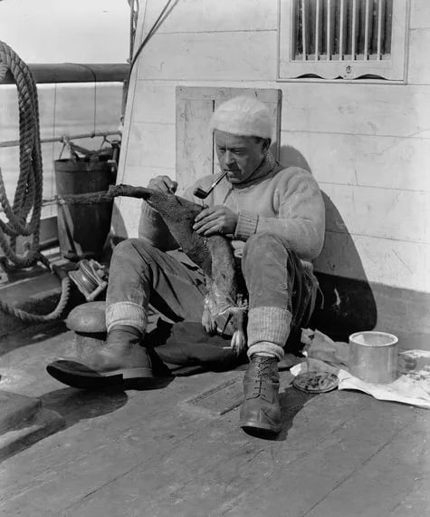 Portrait of George Murray Levick (1876–1956) – memorial page