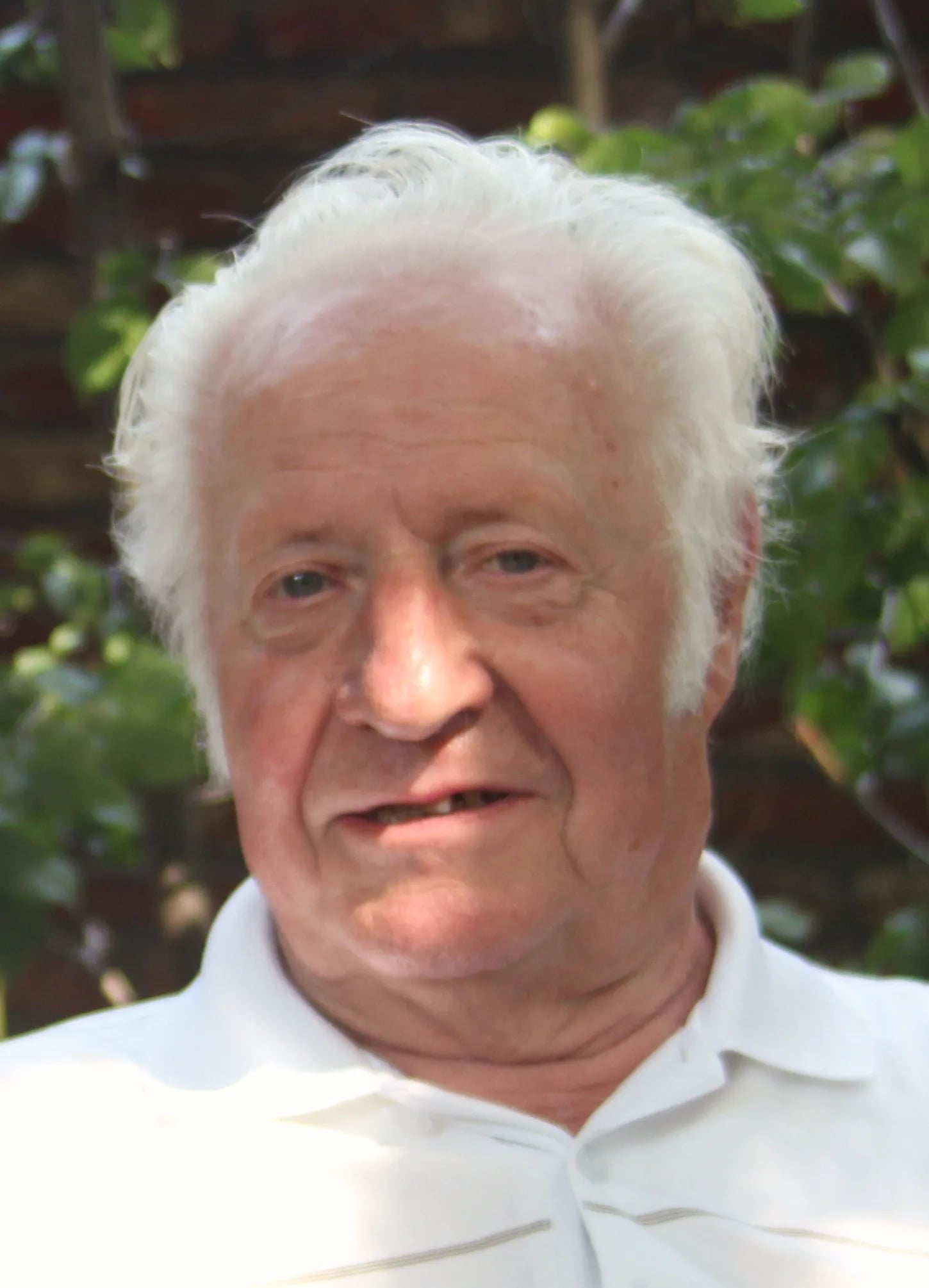 Porträt von Alfons Van Meirvenne (1932–2025) – Gedenkseite