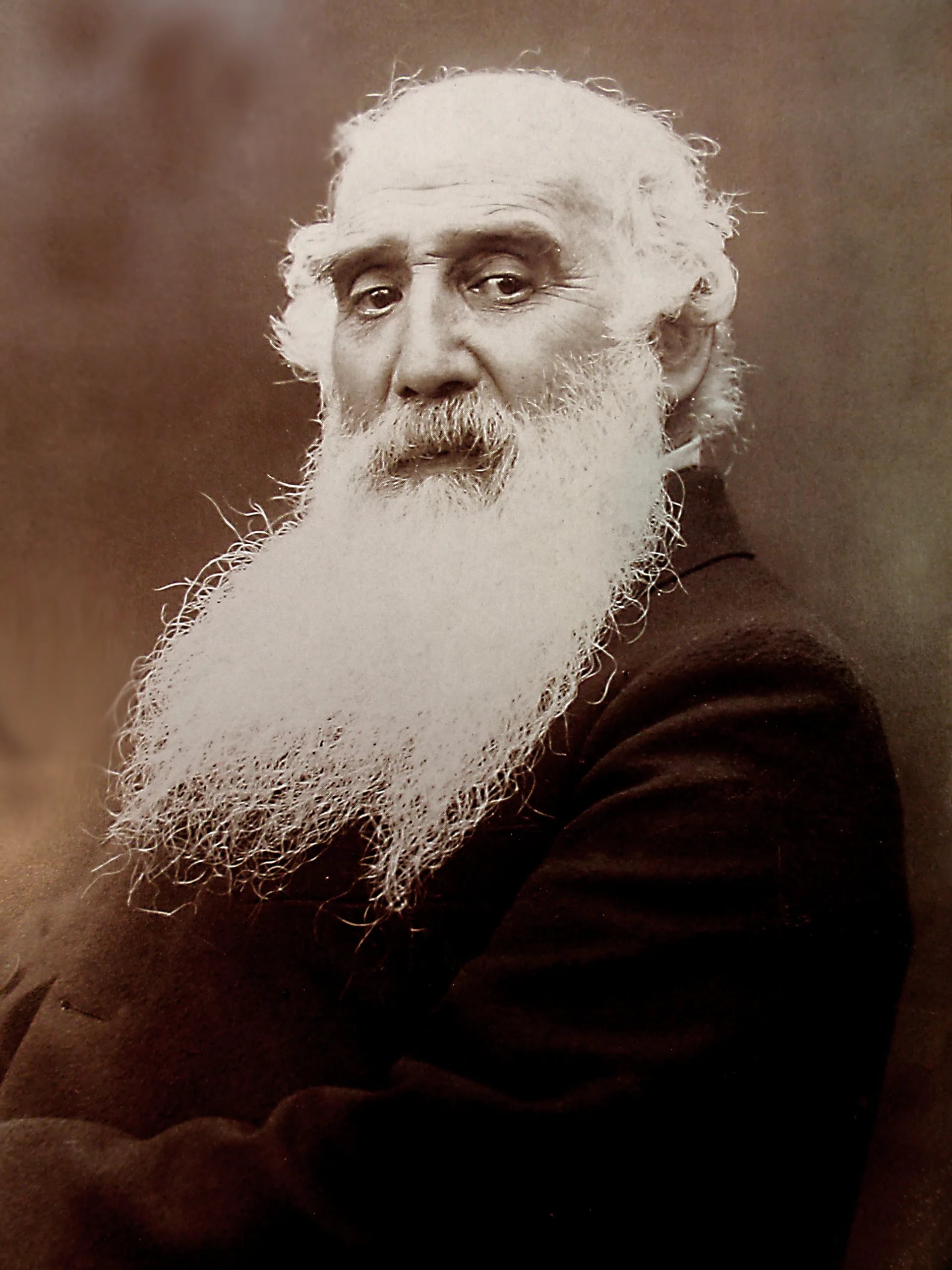 Portrait of Camille Pissarro (1830–1903) – memorial page
