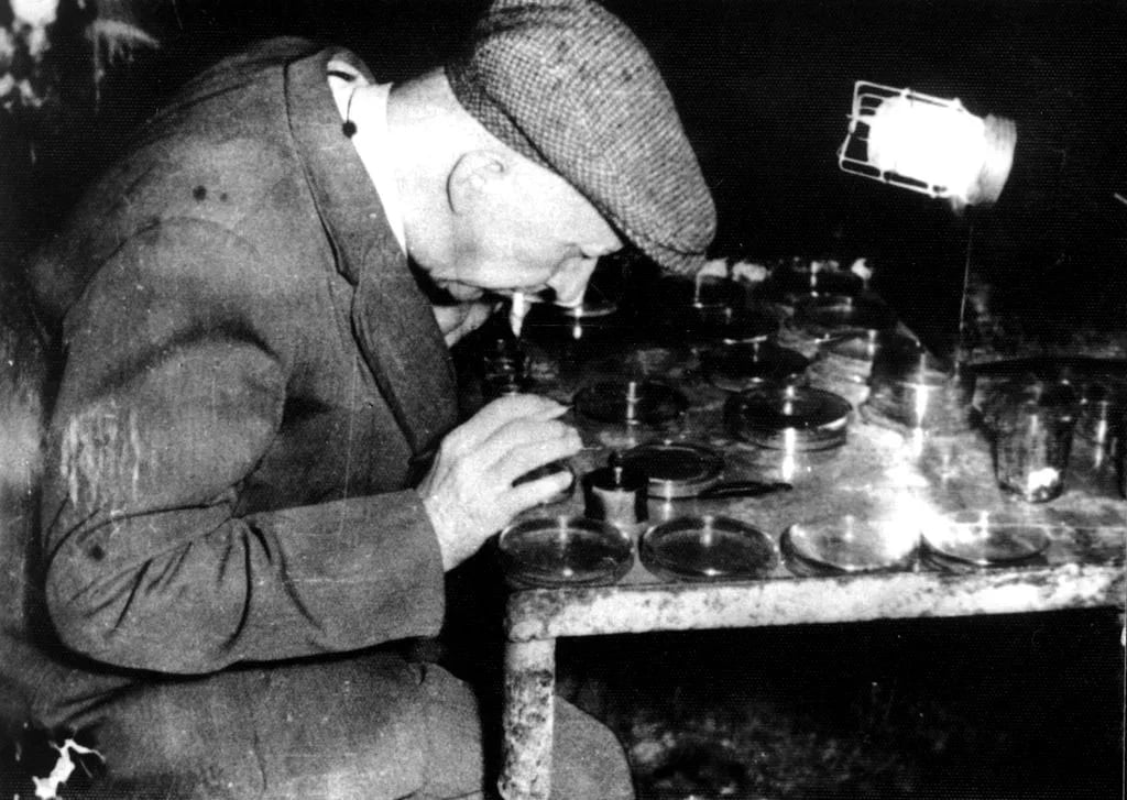 Porträt von Endre Dudich (1895–1971) – Gedenkseite