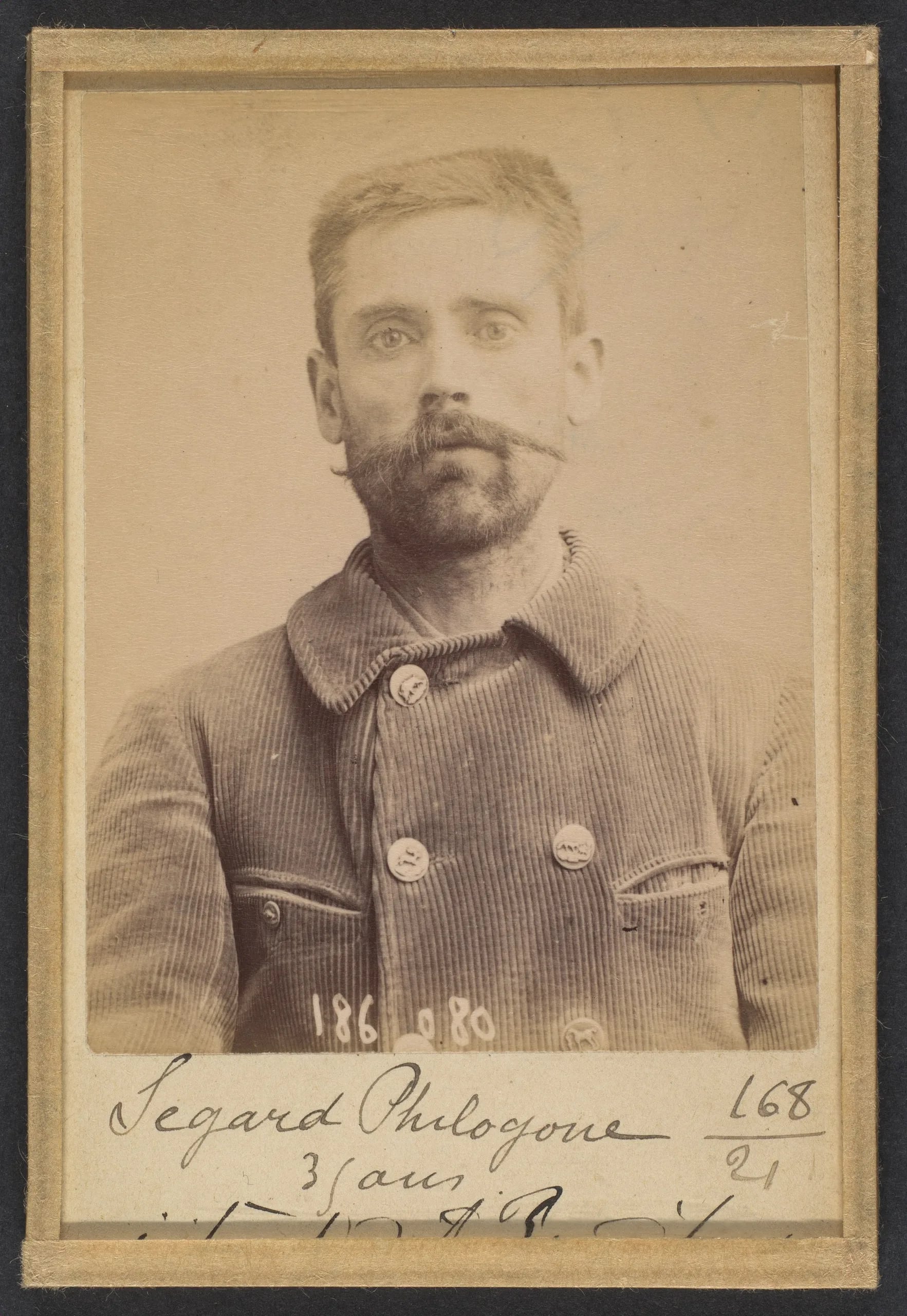 Portrait of Philogone Segard (1858–1927) – memorial page