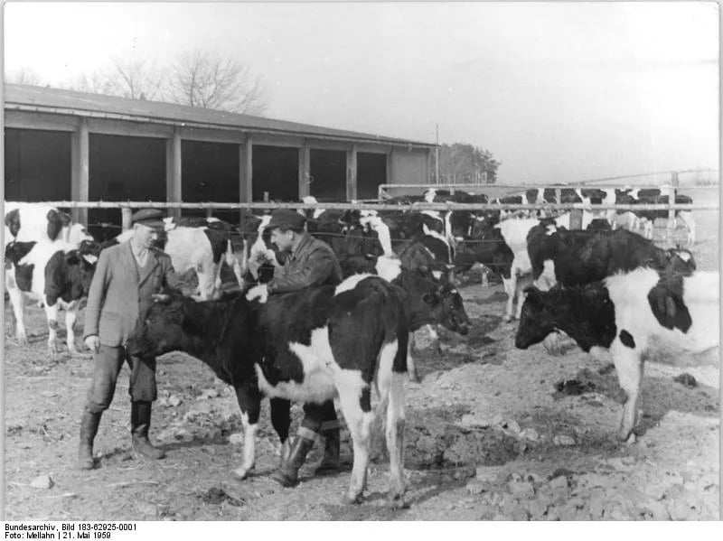 Porträt von Ernst Wulf (1921–1979) – Gedenkseite