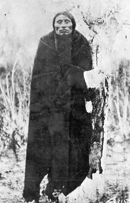 Portrait of Little Wolf (1820–1904) – memorial page