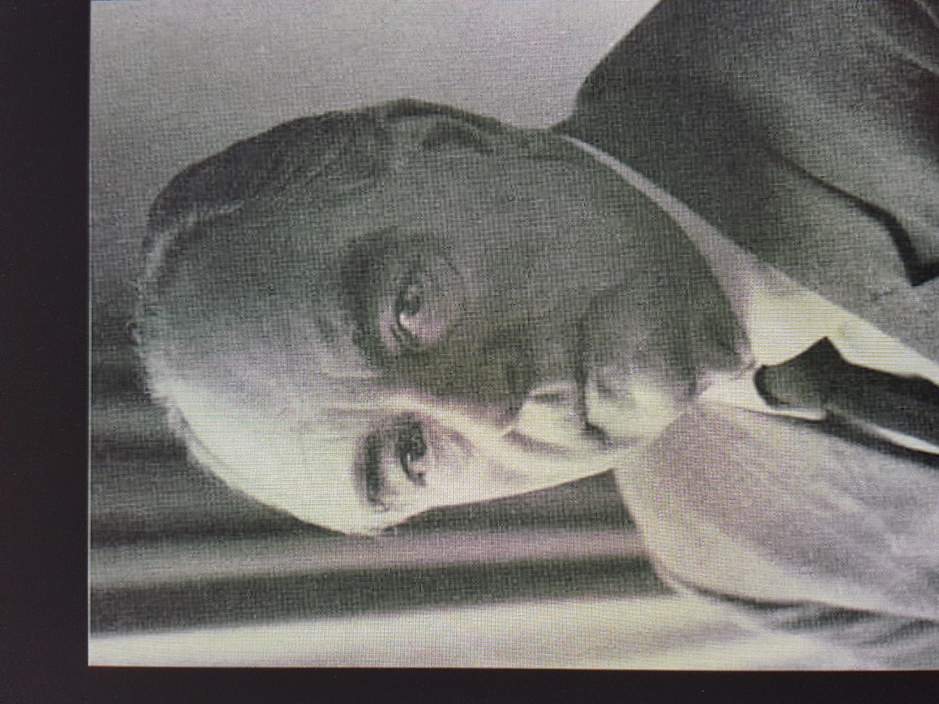 Portrait of Hans Joachim Fuchs (1903–1992) – memorial page