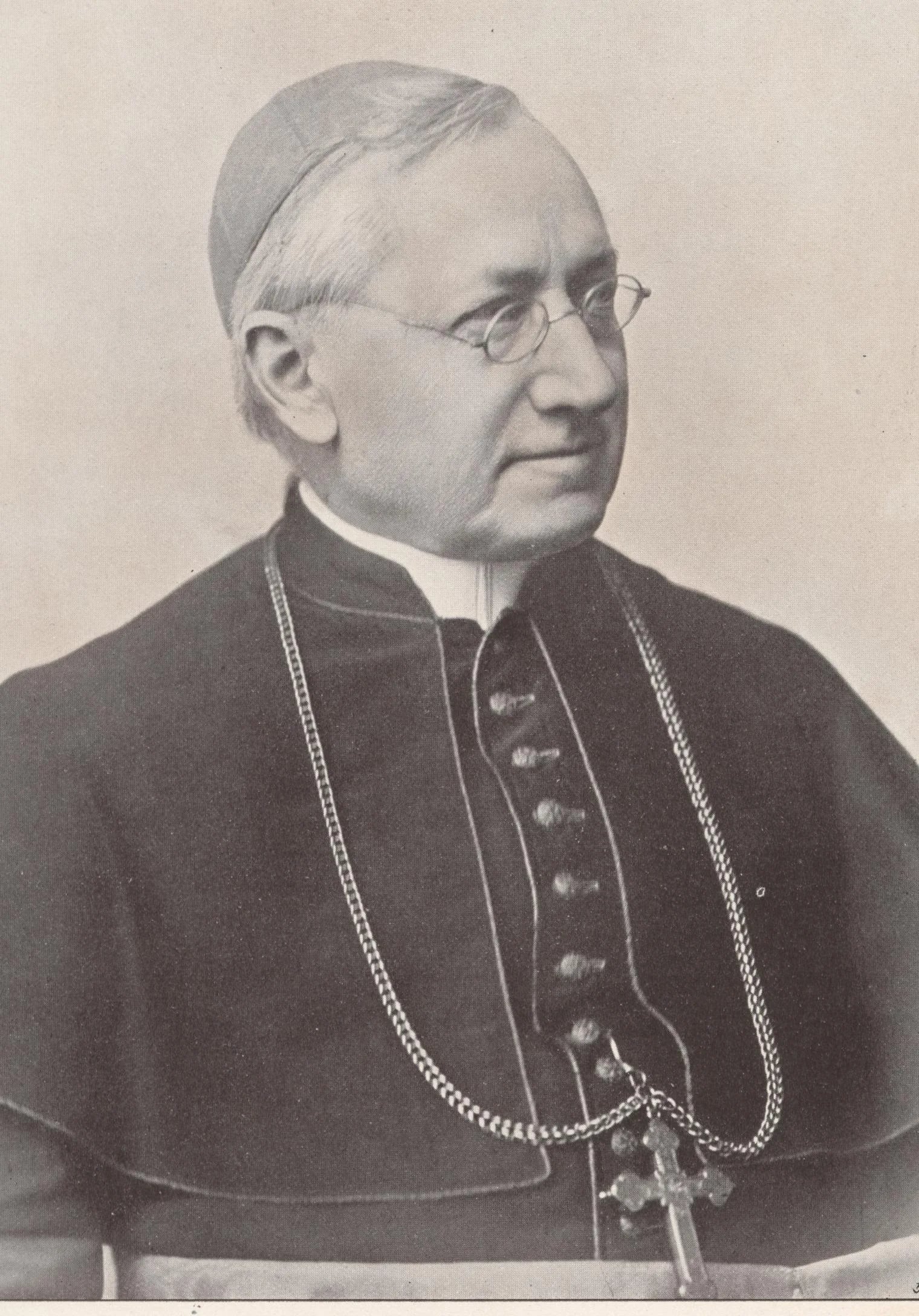 Porträt von Ignatius von Senestrey (1818–1906) – Gedenkseite