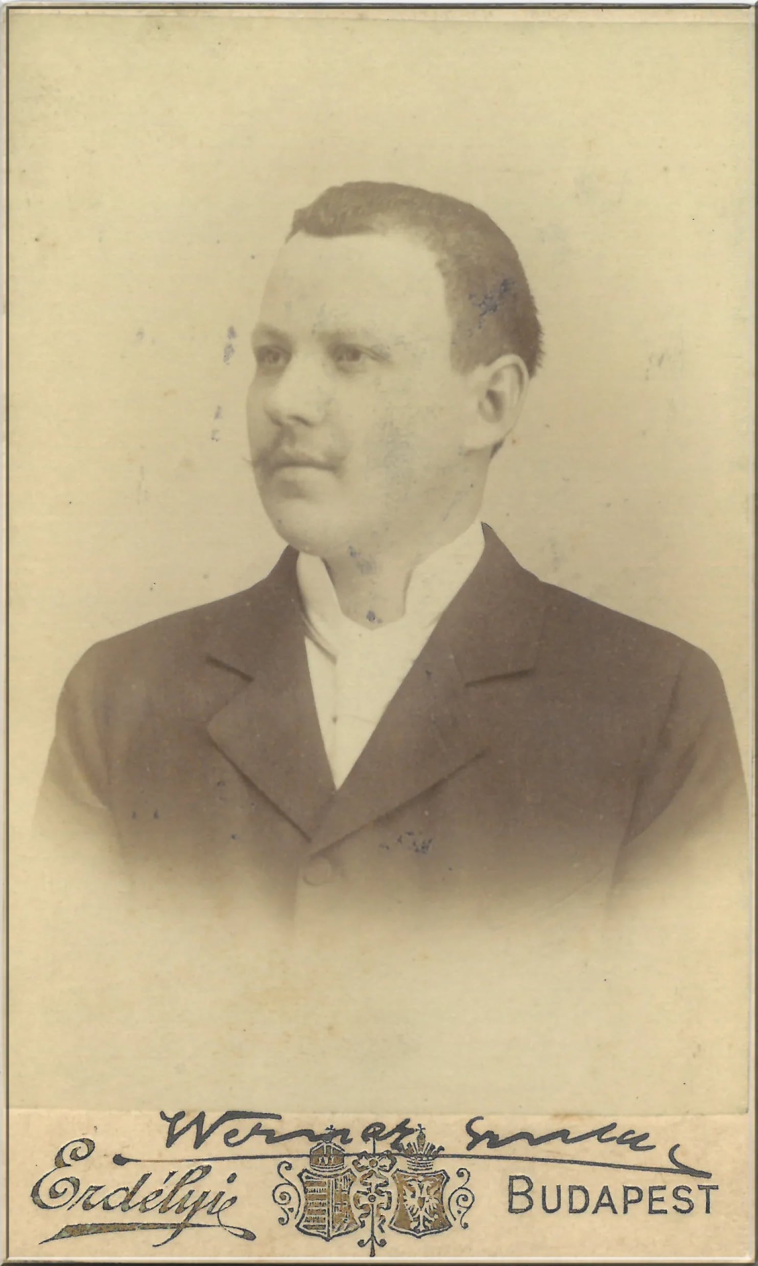 Portrait of Gyula Werner (1862–1926) – memorial page