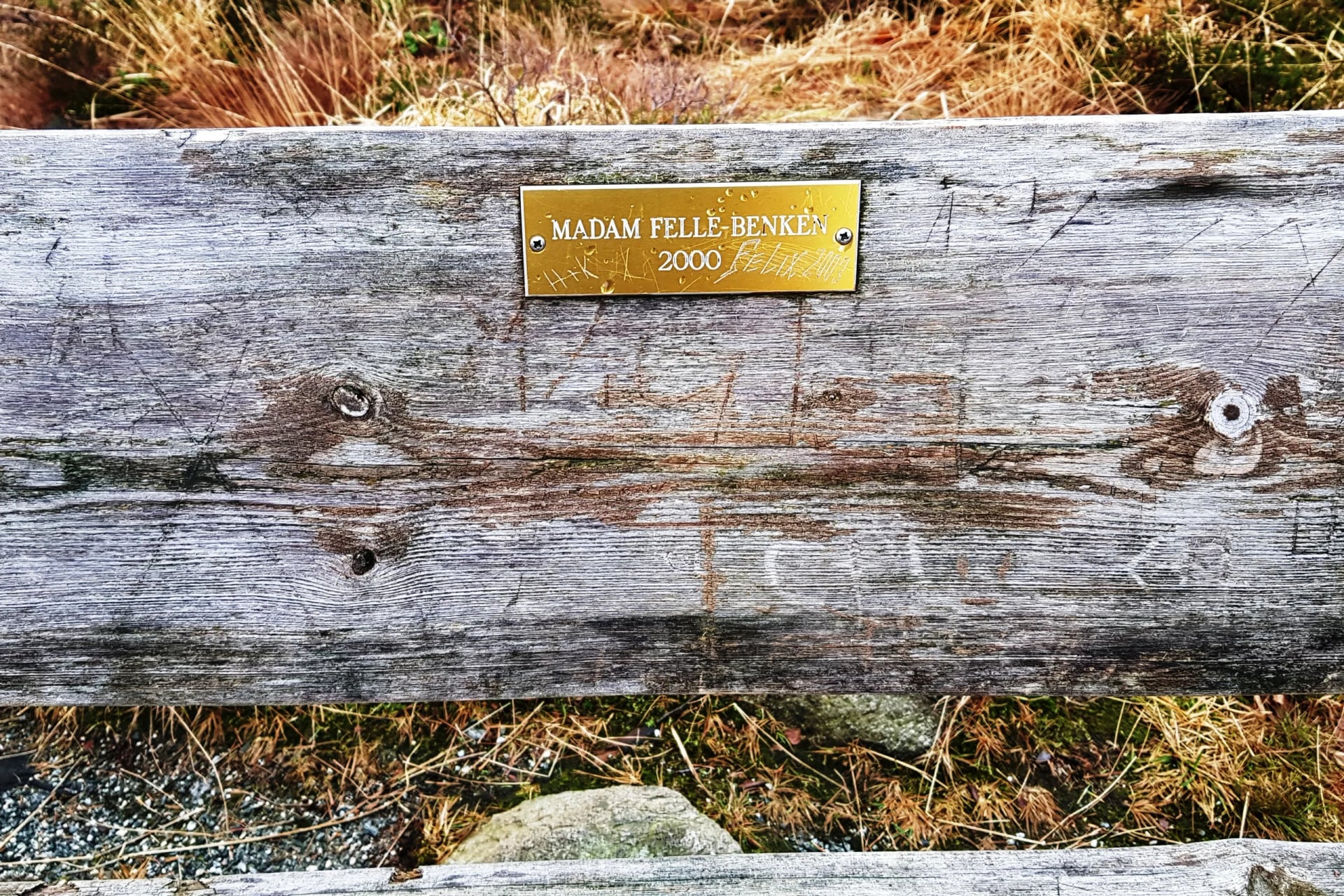 Portrait of Madam Felle (1831–1908) – memorial page