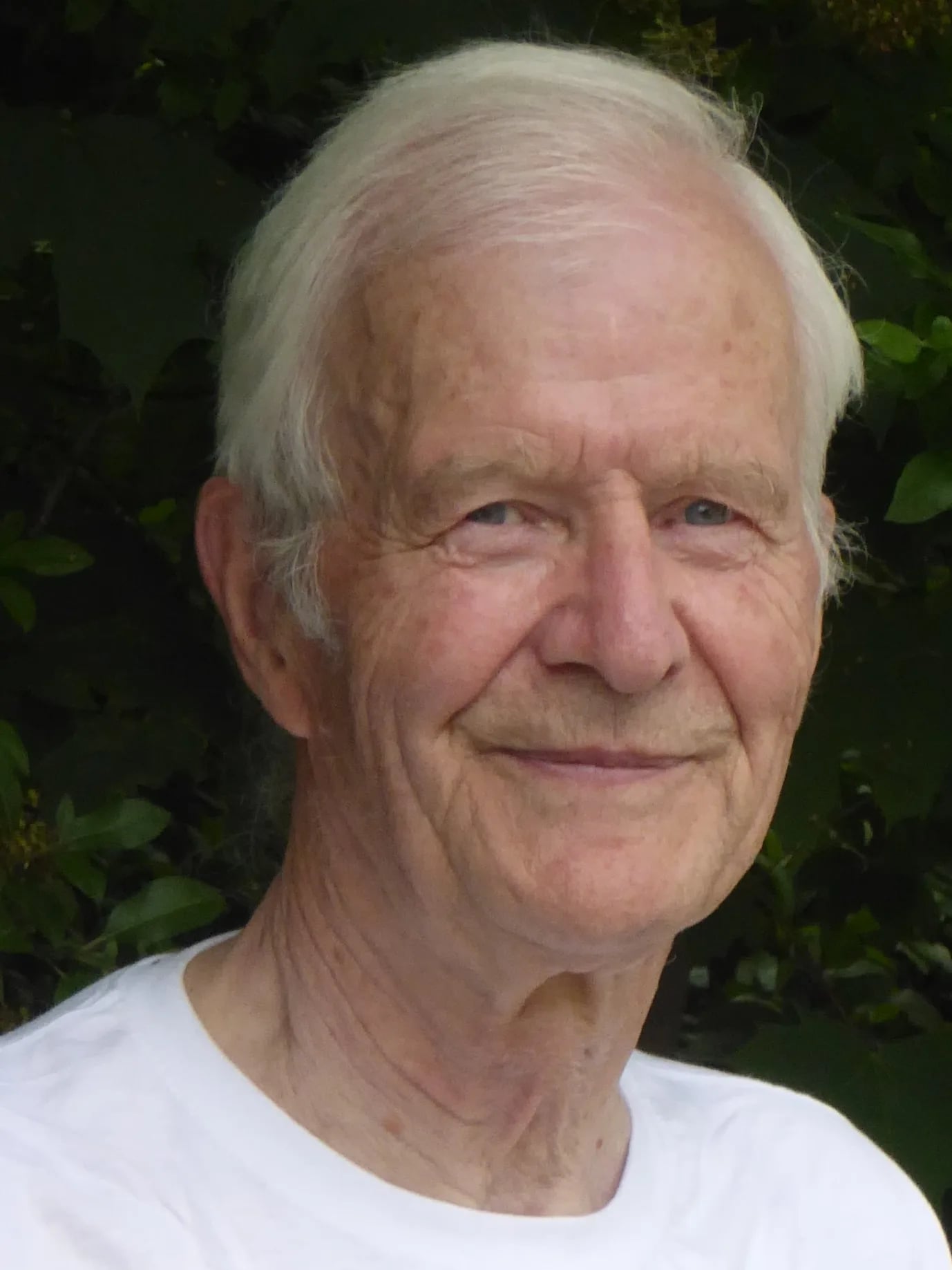 Porträt von Wolf von Fabeck (1935–2025) – Gedenkseite
