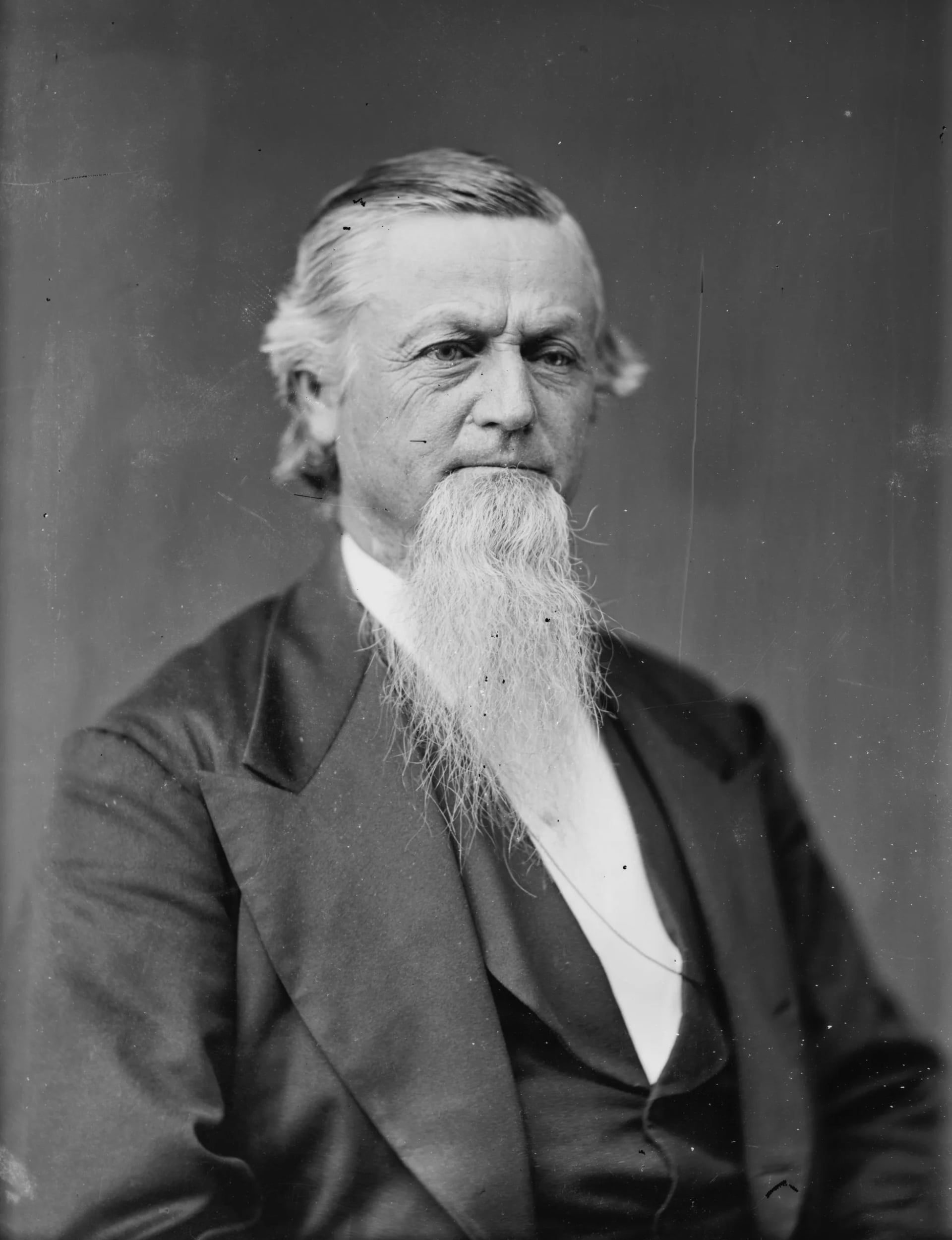 Portrait of George Gibbs Dibrell (1822–1888) – memorial page
