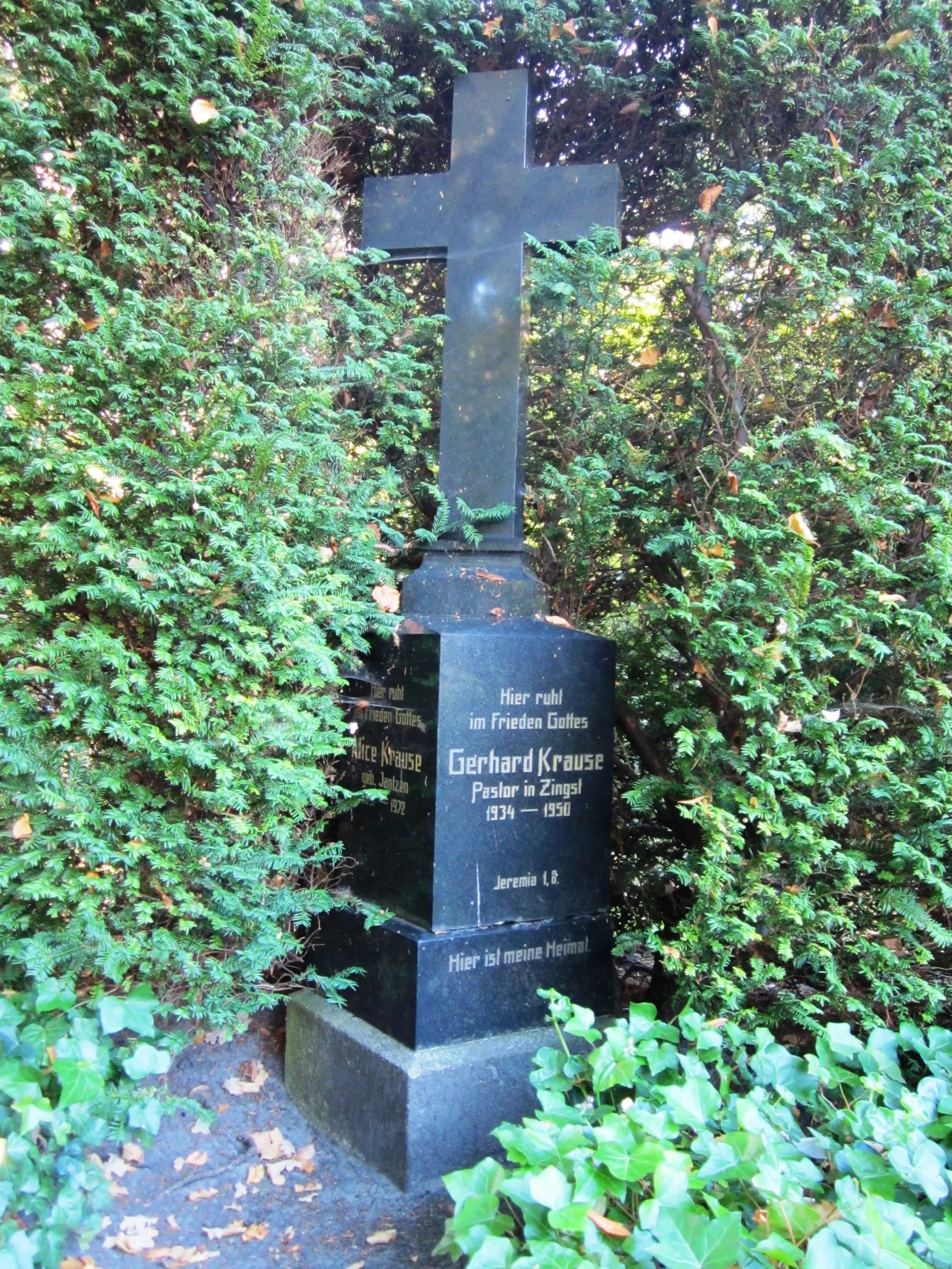 Portrait of Gerhard Krause (1887–1950) – memorial page