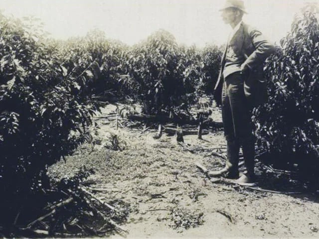 Porträt von Carlos Leôncio de Magalhães (1875–1931) – Gedenkseite