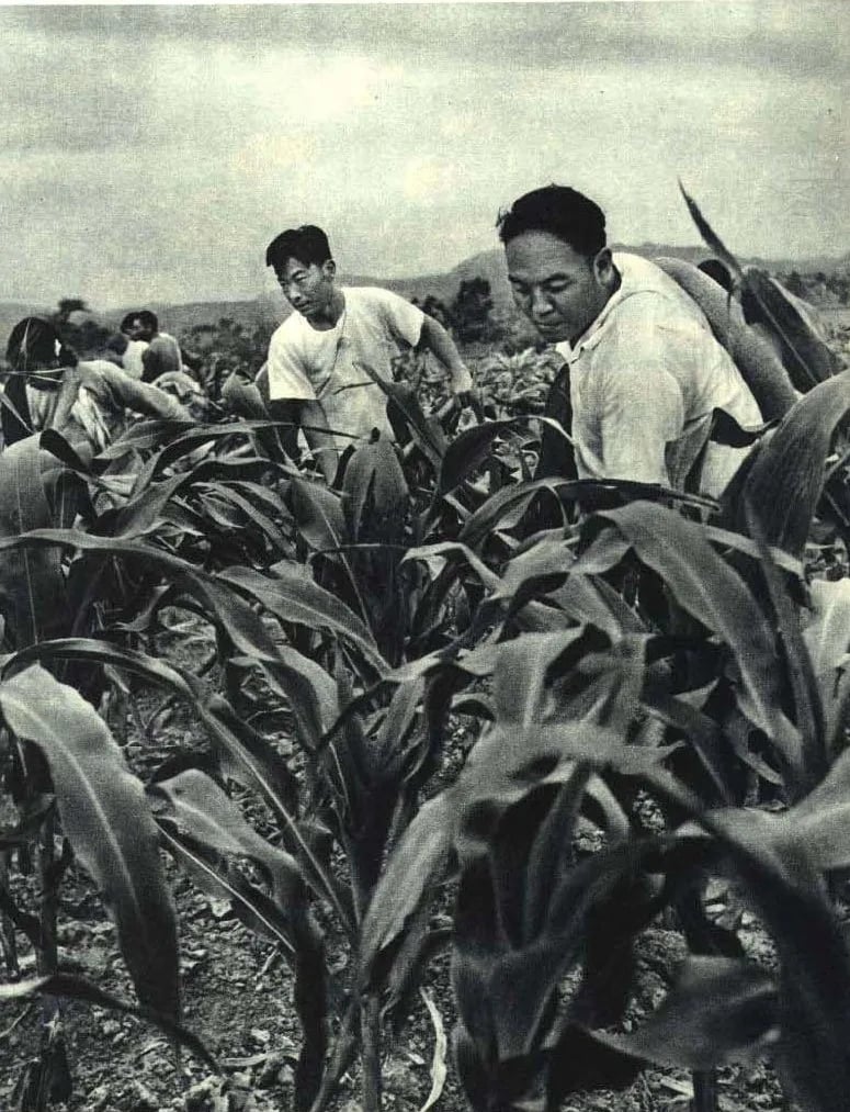 Porträt von Li Zhun (1928–2000) – Gedenkseite