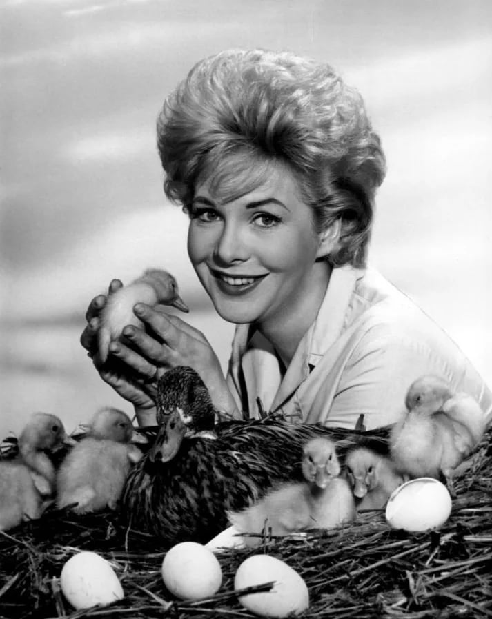 Portrait of Jan Shepard (1928–2025) – memorial page