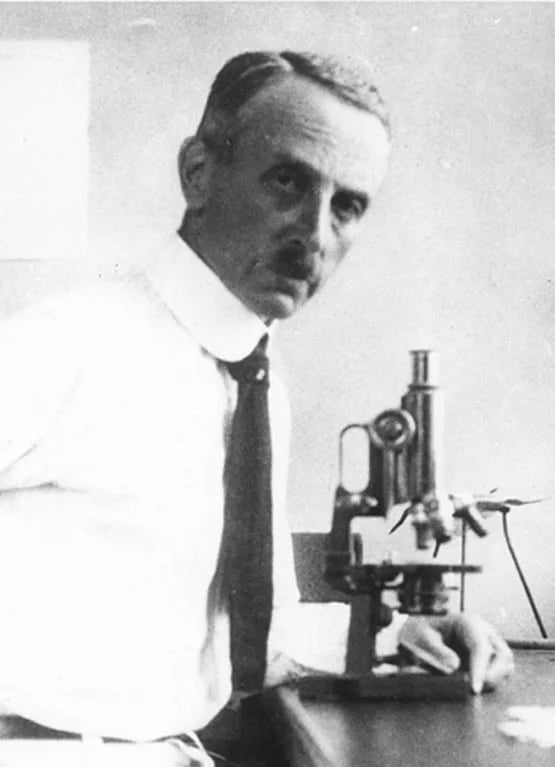 Porträt von Leo Loeb (1869–1959) – Gedenkseite