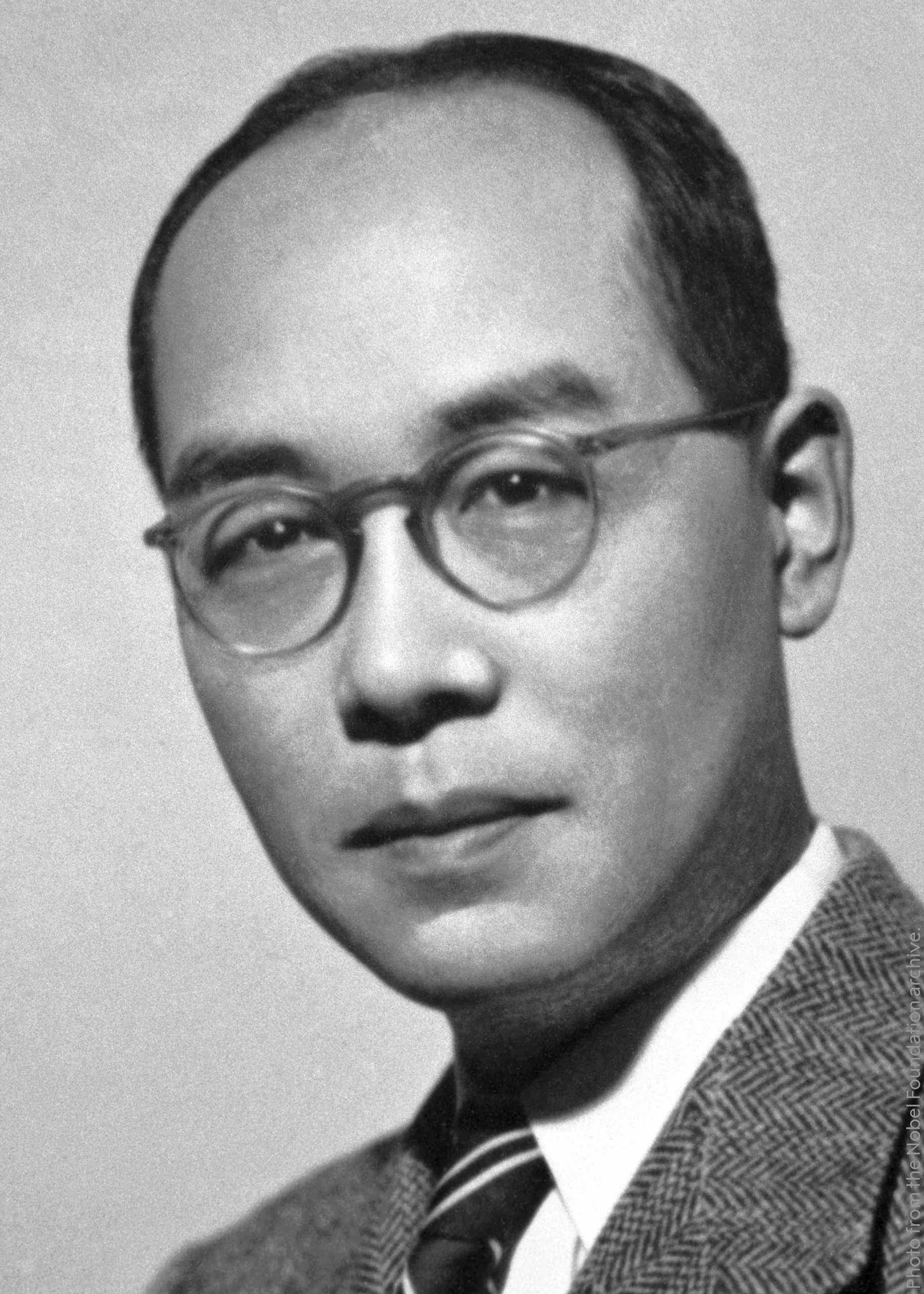 Porträt von Yukawa Hideki (1907–1981) – Gedenkseite