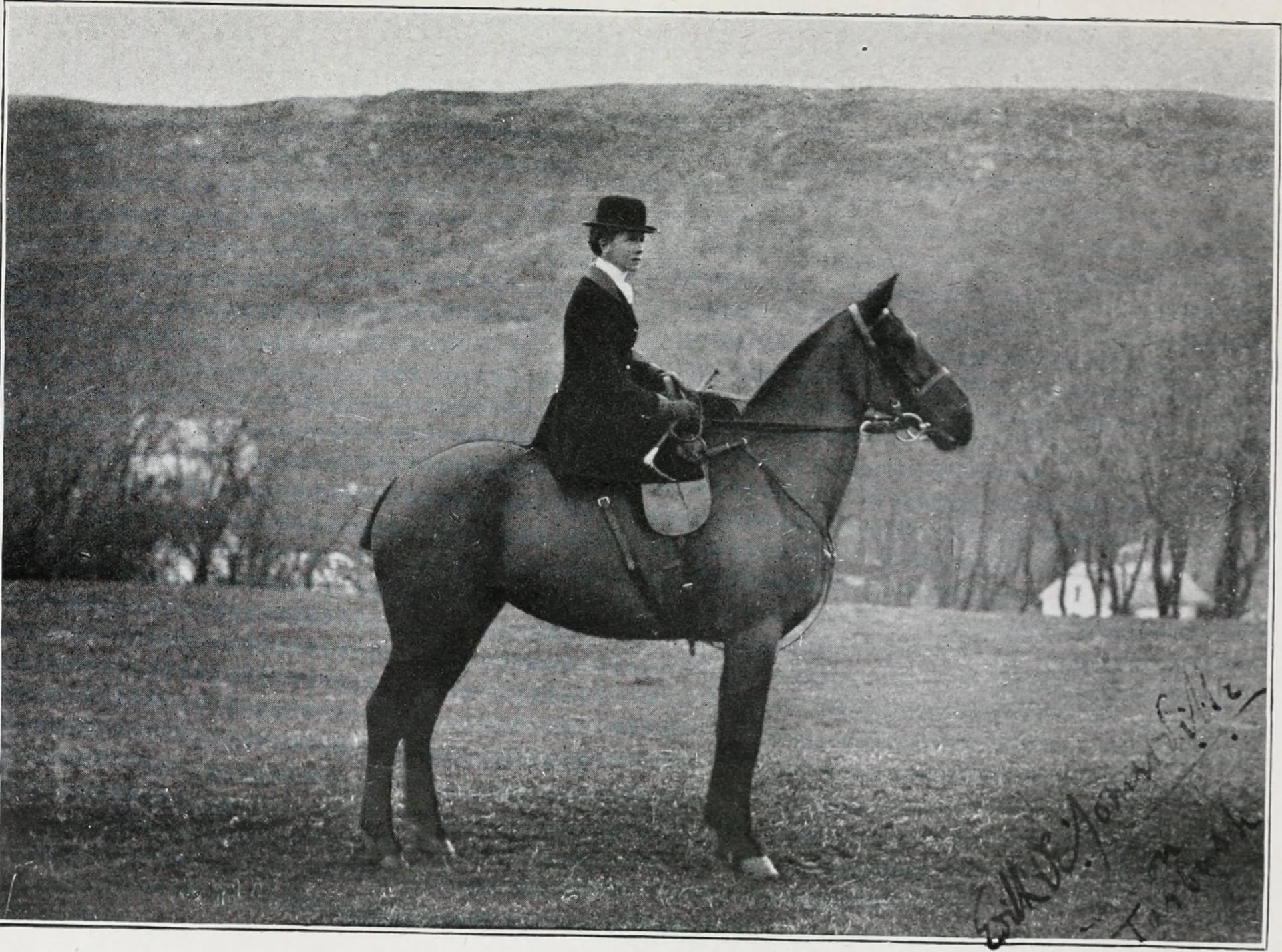 Porträt von Edith Anna Somerville (1858–1949) – Gedenkseite