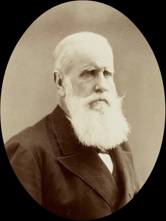 Porträt von Peter II. von Brasilien (1825–1891) – Gedenkseite