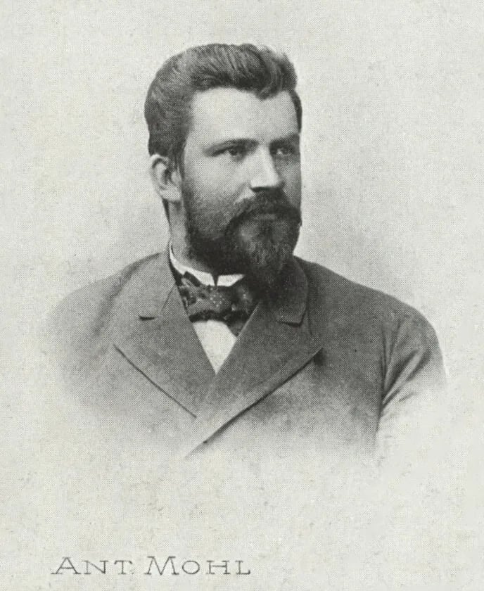 Porträt von Antonín Mohl (1859–1924) – Gedenkseite