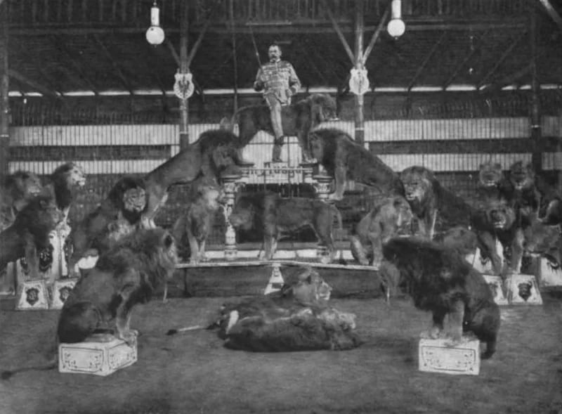 Porträt von Julius Seeth (1863–1939) – Gedenkseite