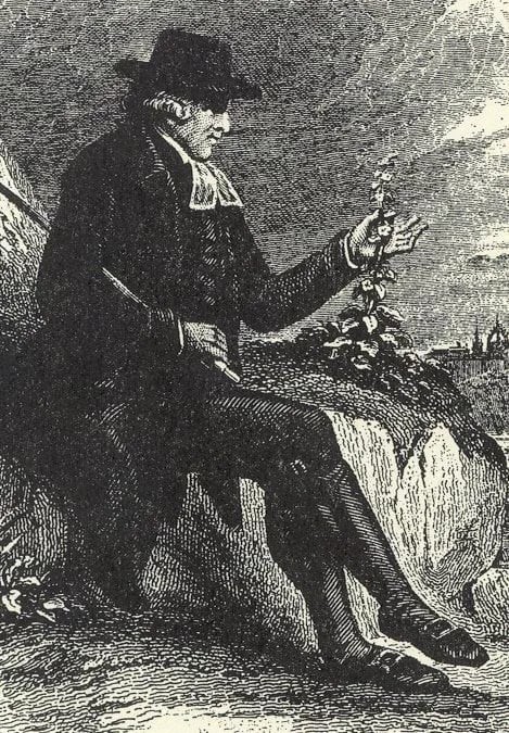 Portrait of John Walker (1731–1803) – memorial page