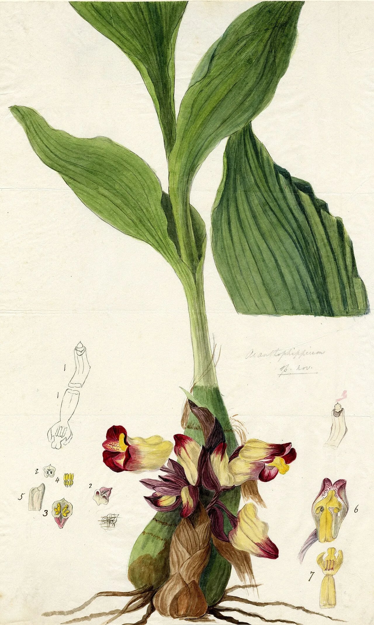 Porträt von Anna Maria Walker (1778–1852) – Gedenkseite
