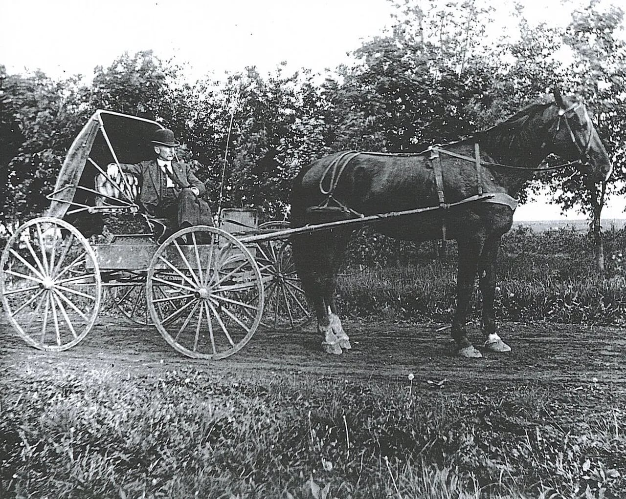 Porträt von Charles Boarman Harris (1857–1942) – Gedenkseite