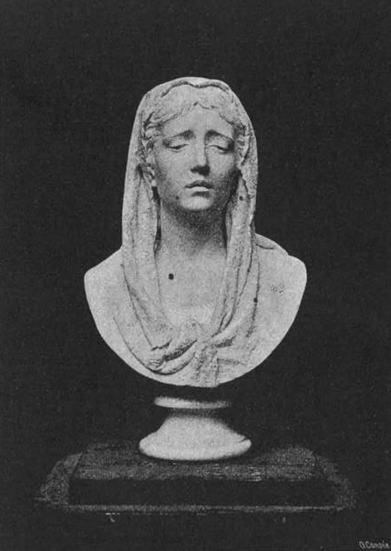 Porträt von Modesto Parlatore (1849–1912) – Gedenkseite