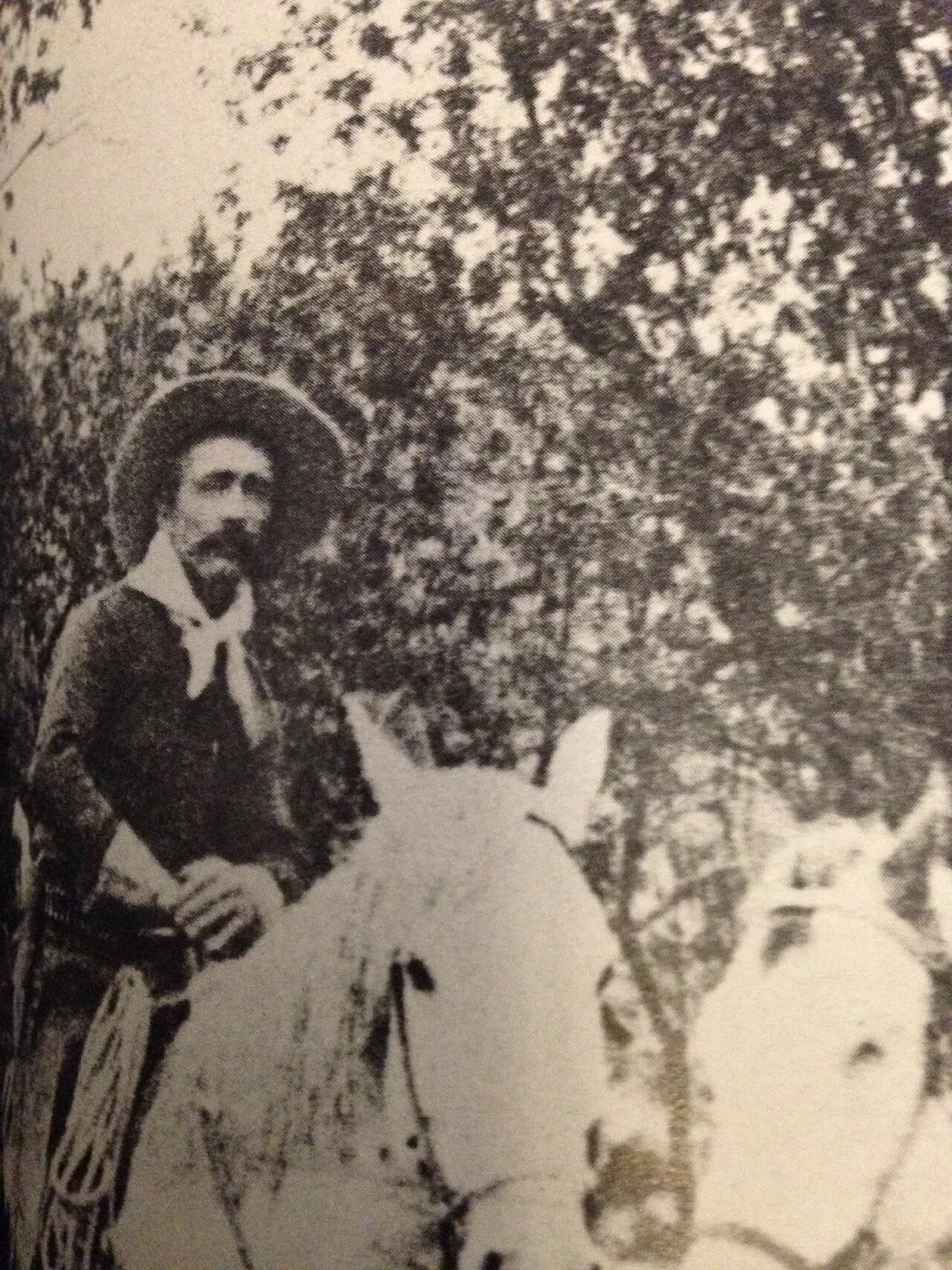 Porträt von Nate Champion (1857–1892) – Gedenkseite