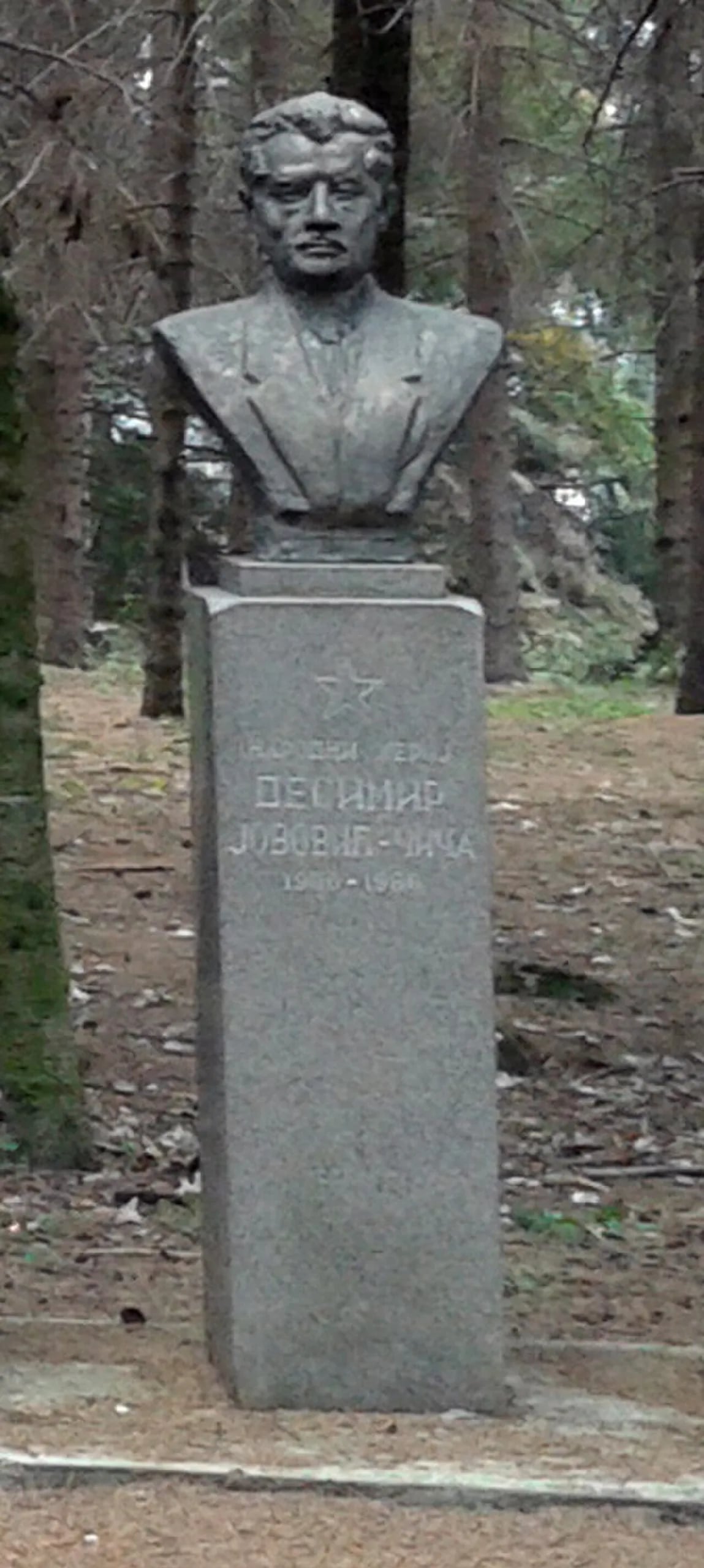 Porträt von Desimir Jovović (1905–1985) – Gedenkseite