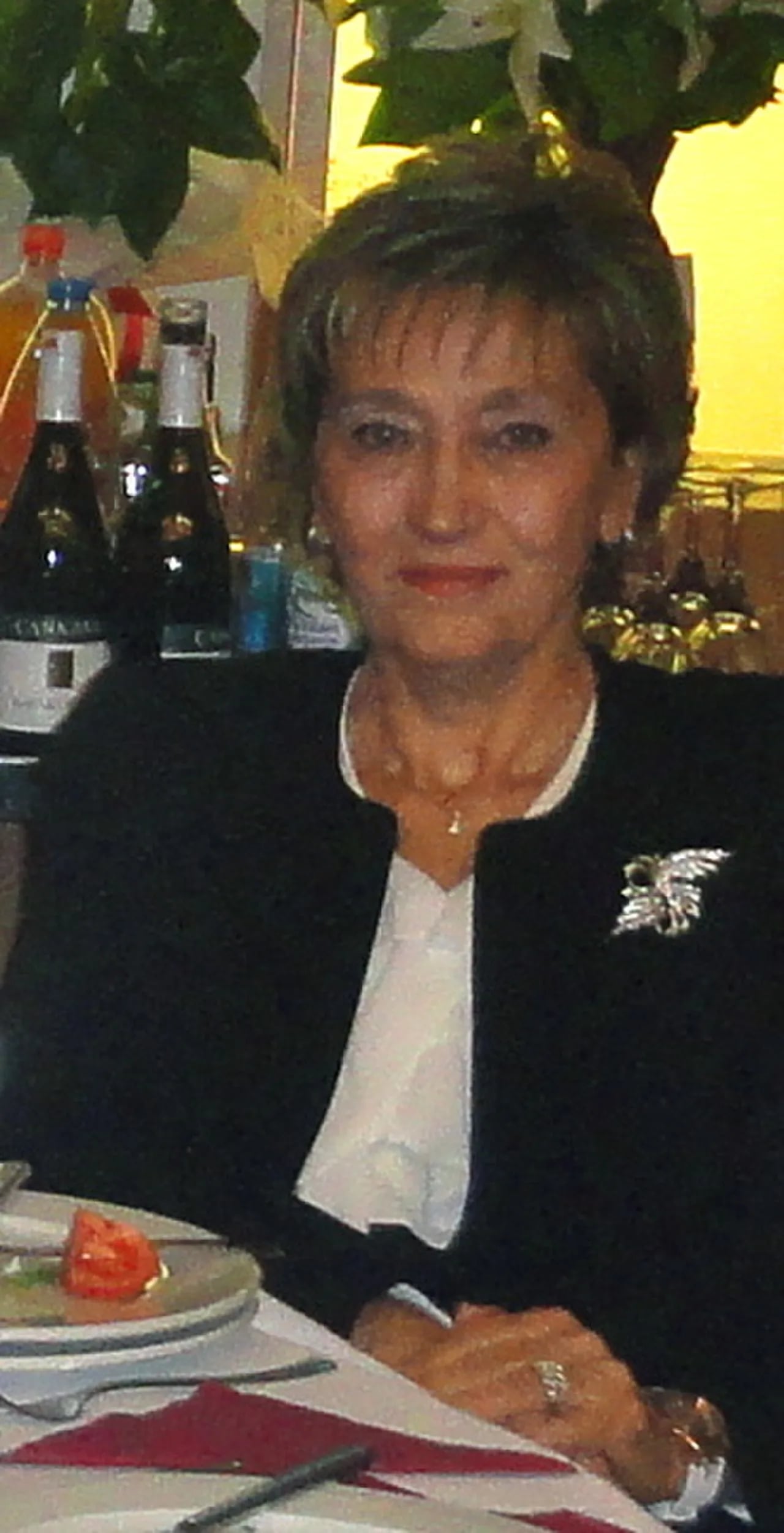 Portrait of F. Tulga Ocak (1946–2019) – memorial page