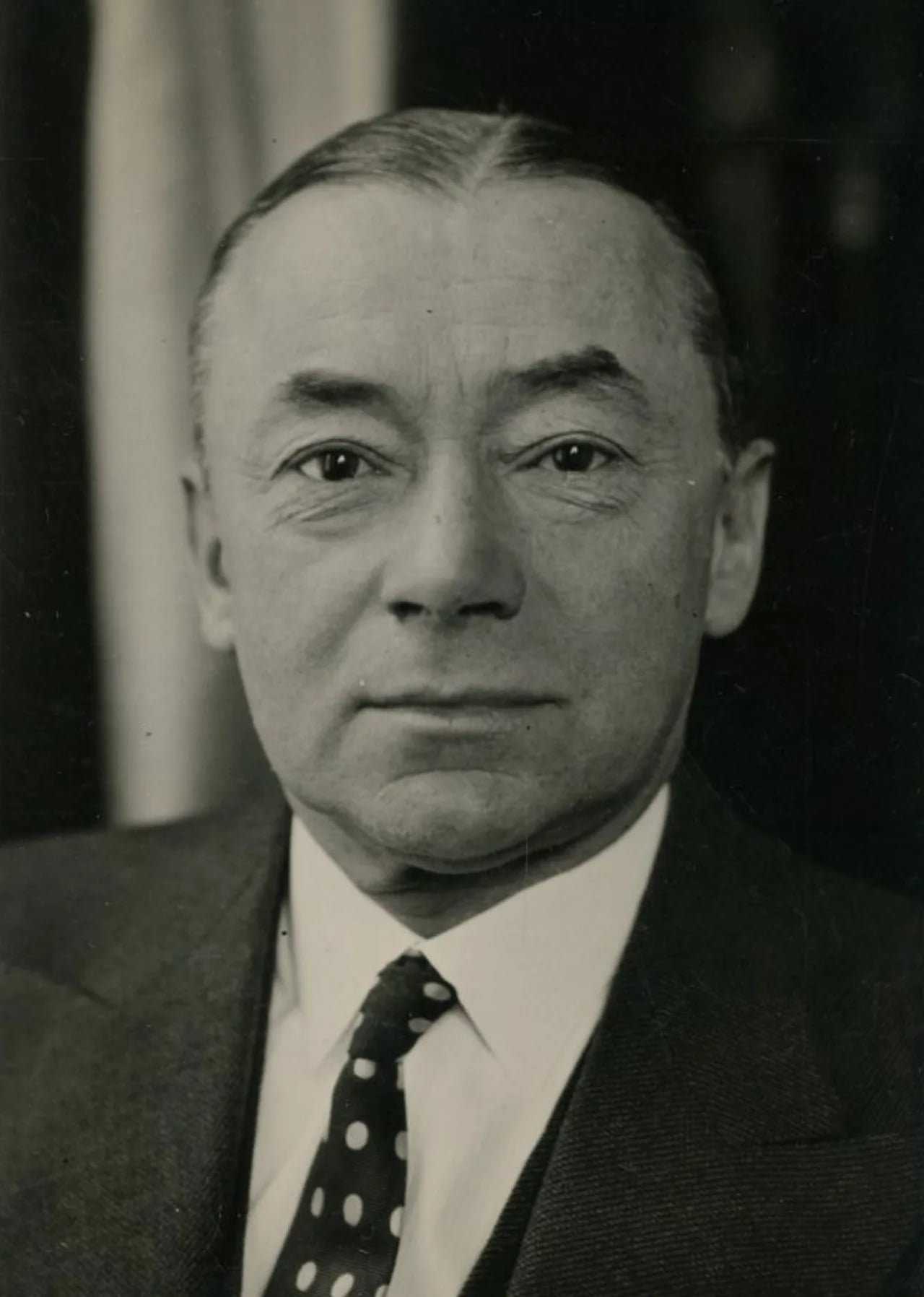 Portrait of Paul Reynaud (1878–1966) – memorial page
