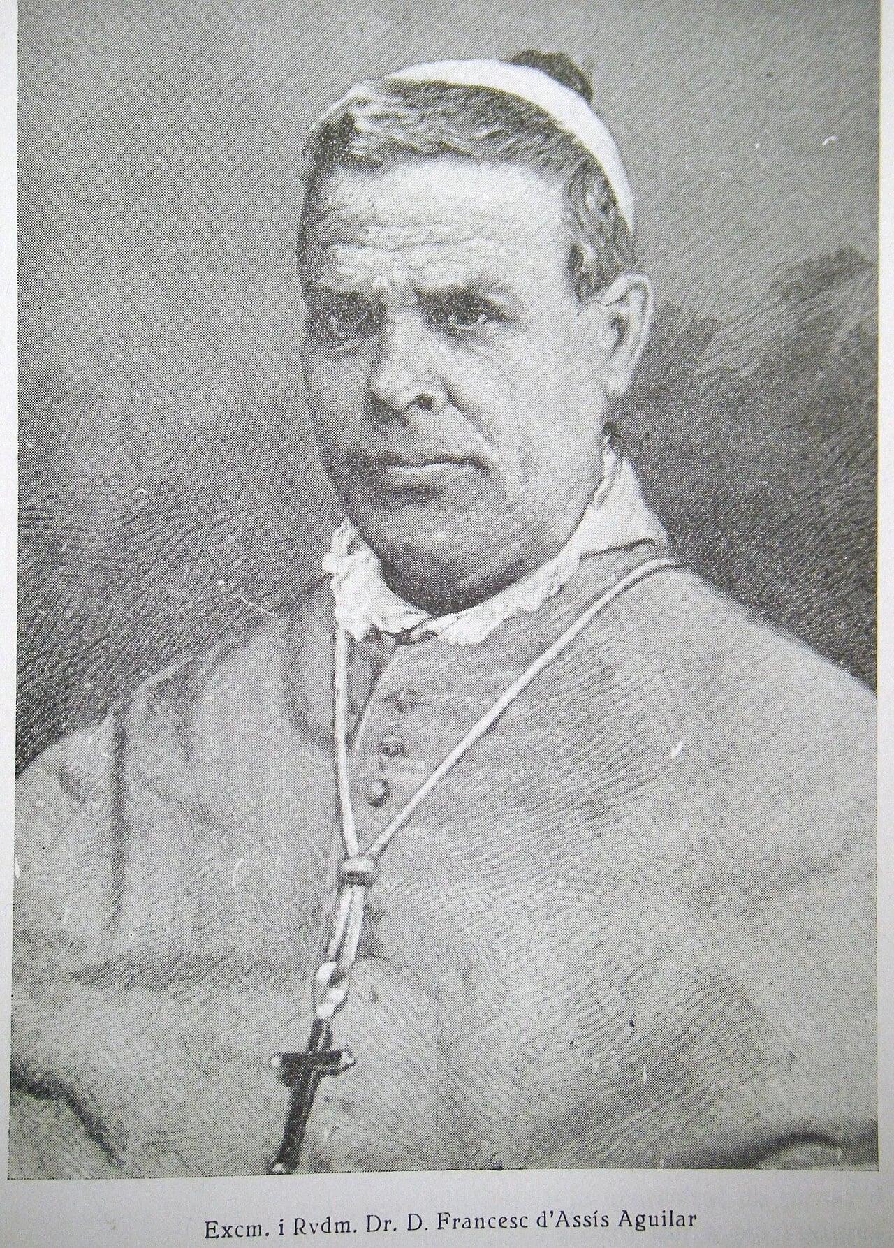 Porträt von Francesc d'Assís Aguilar i Serrat (1826–1899) – Gedenkseite