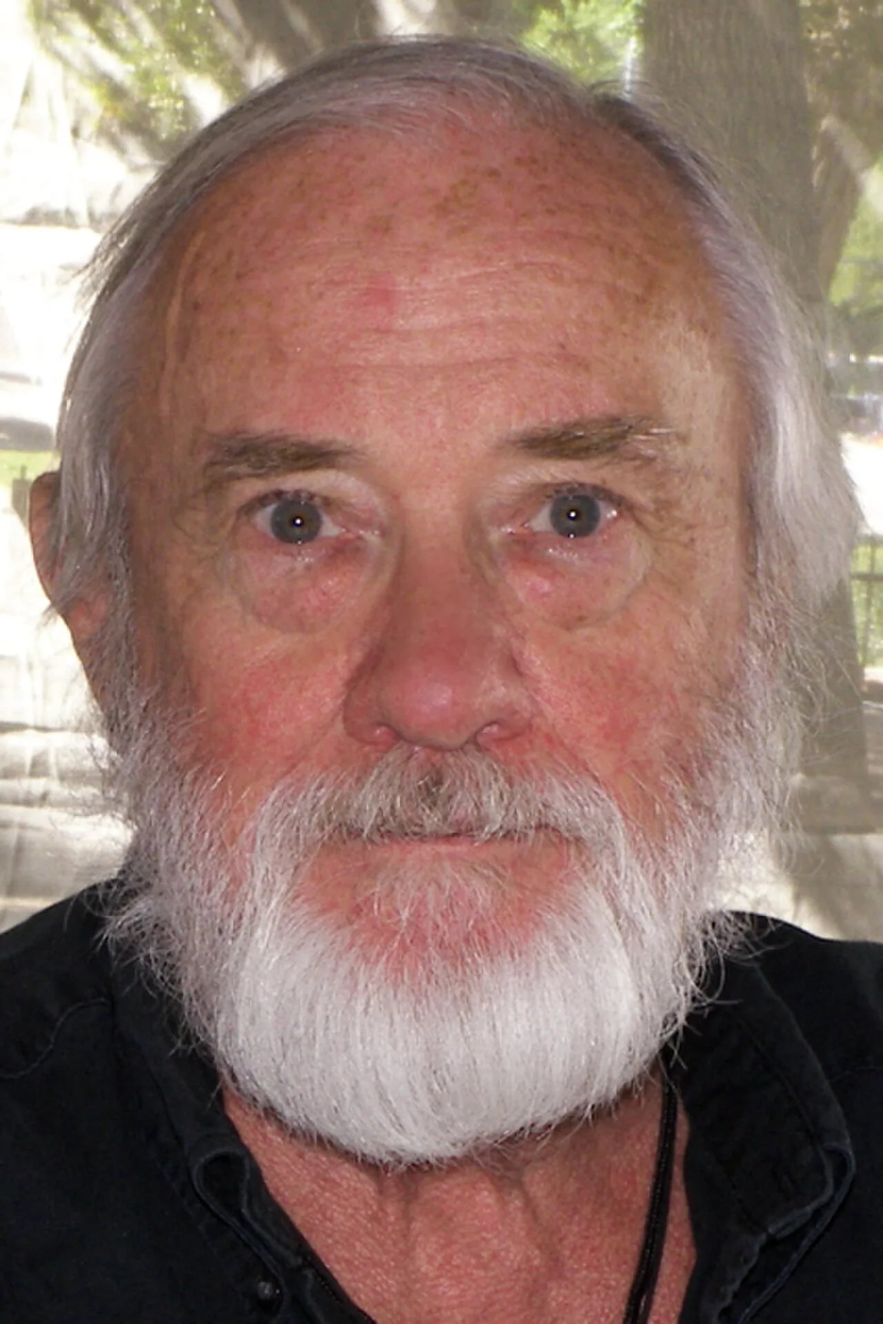 Portrait of Robert Stone (1937–2015) – memorial page